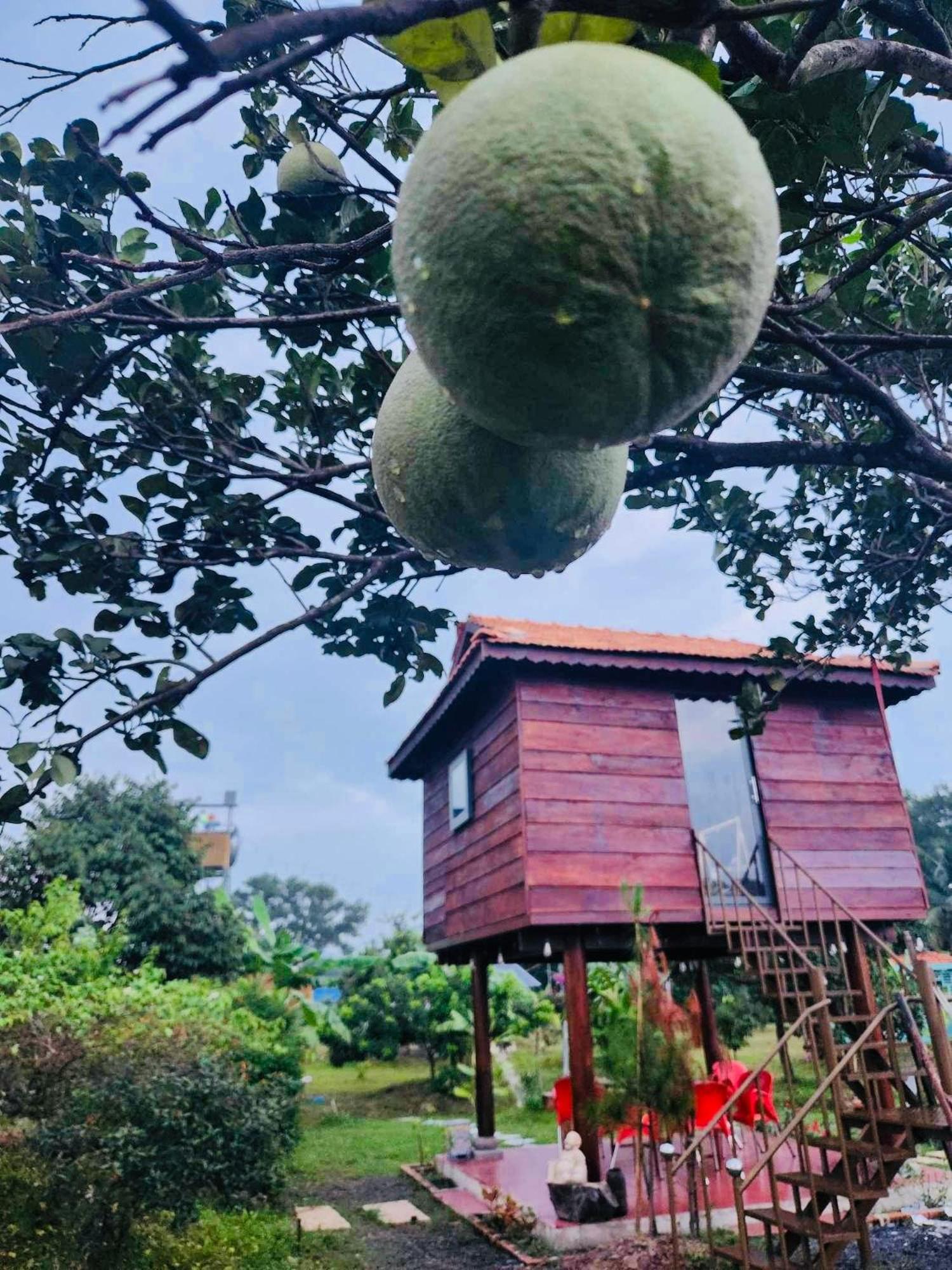 Huong Sen Garden lodge view 2