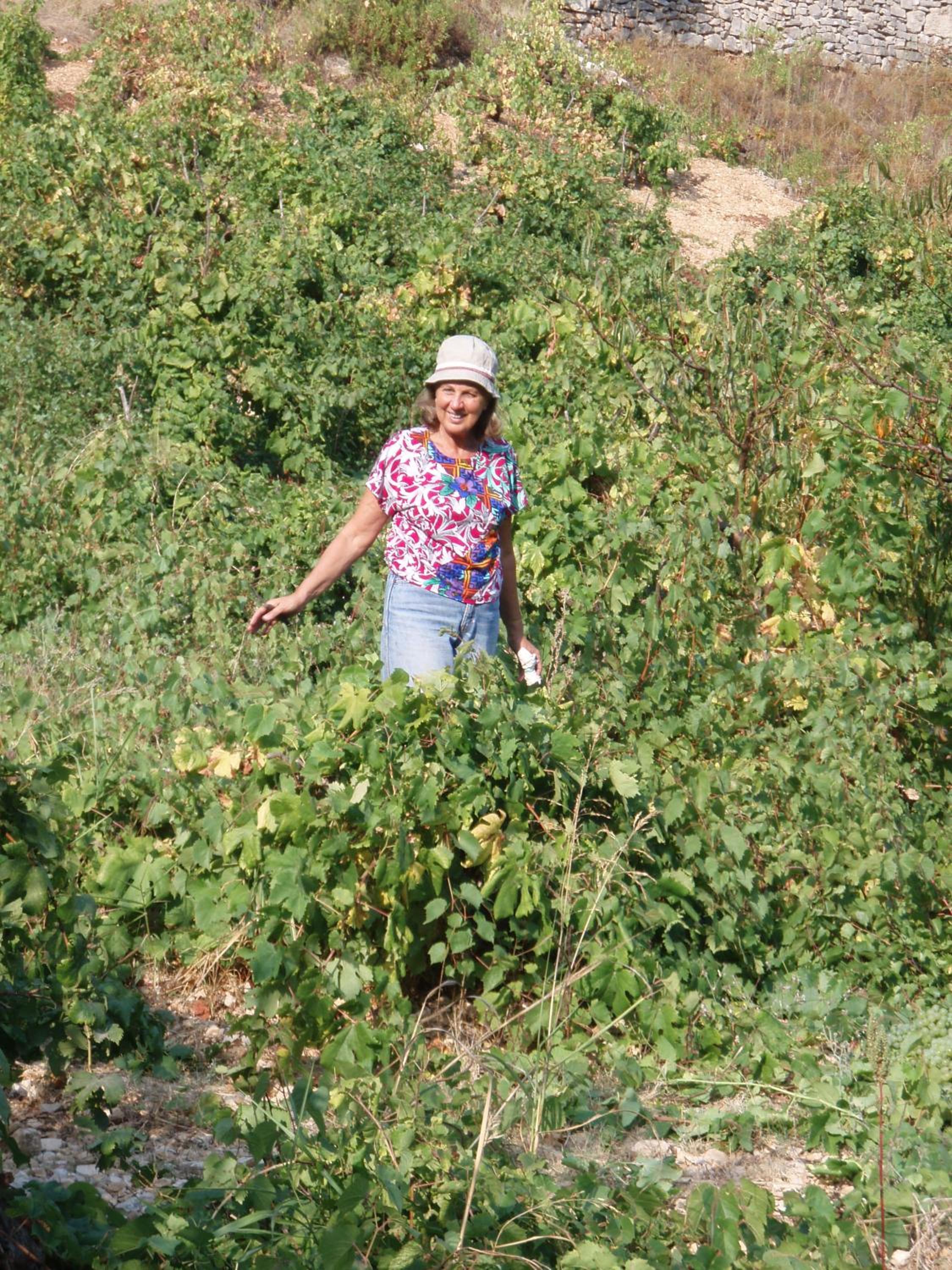 Photo 40