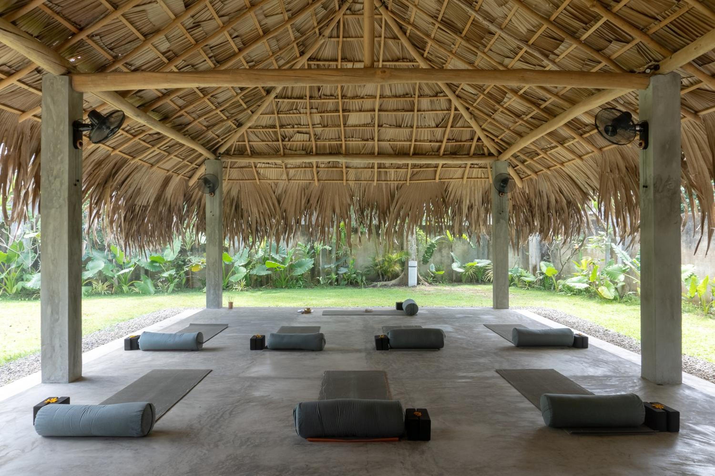 Lotus Surf And Wellness view 5