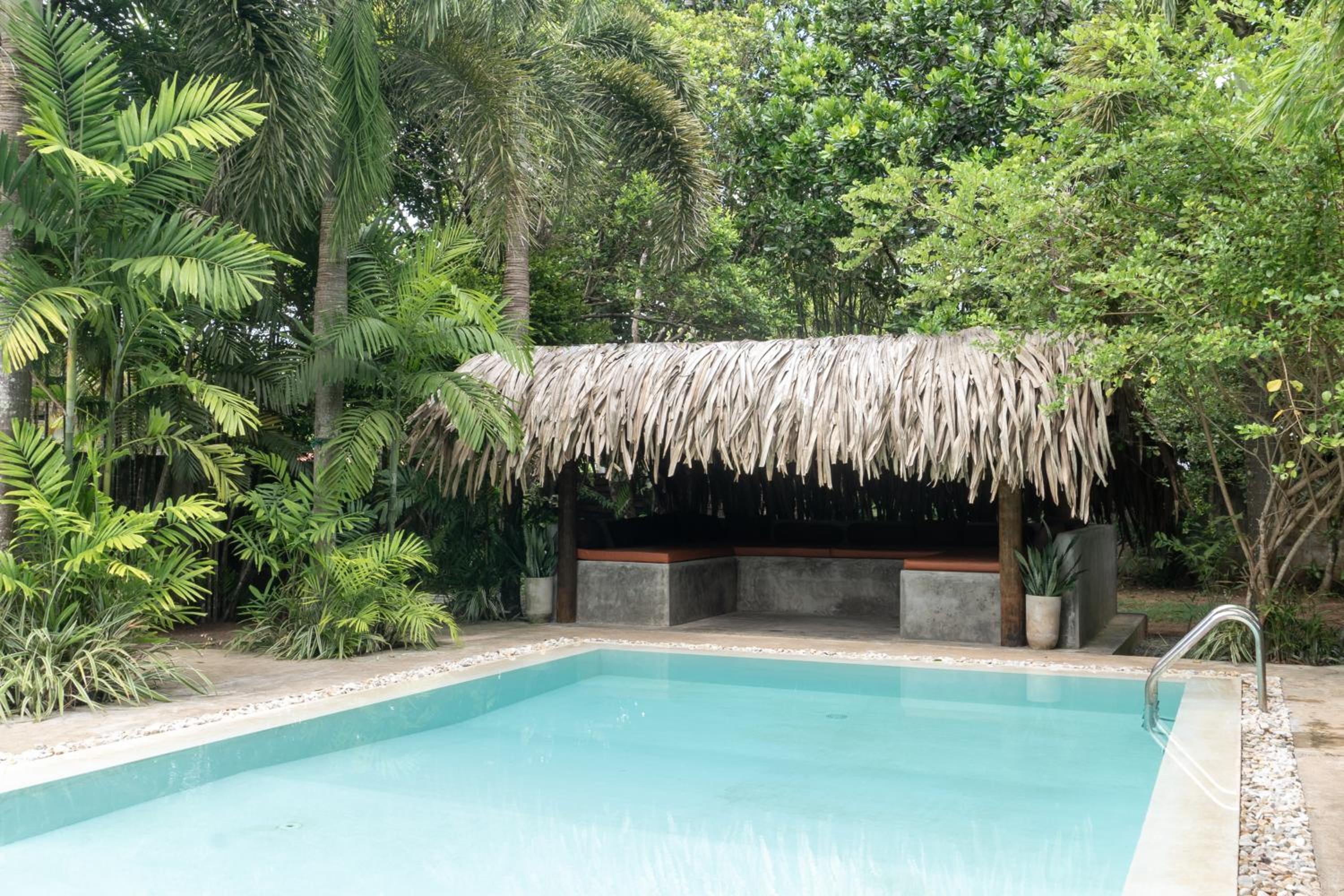 Lotus Surf And Wellness view 3