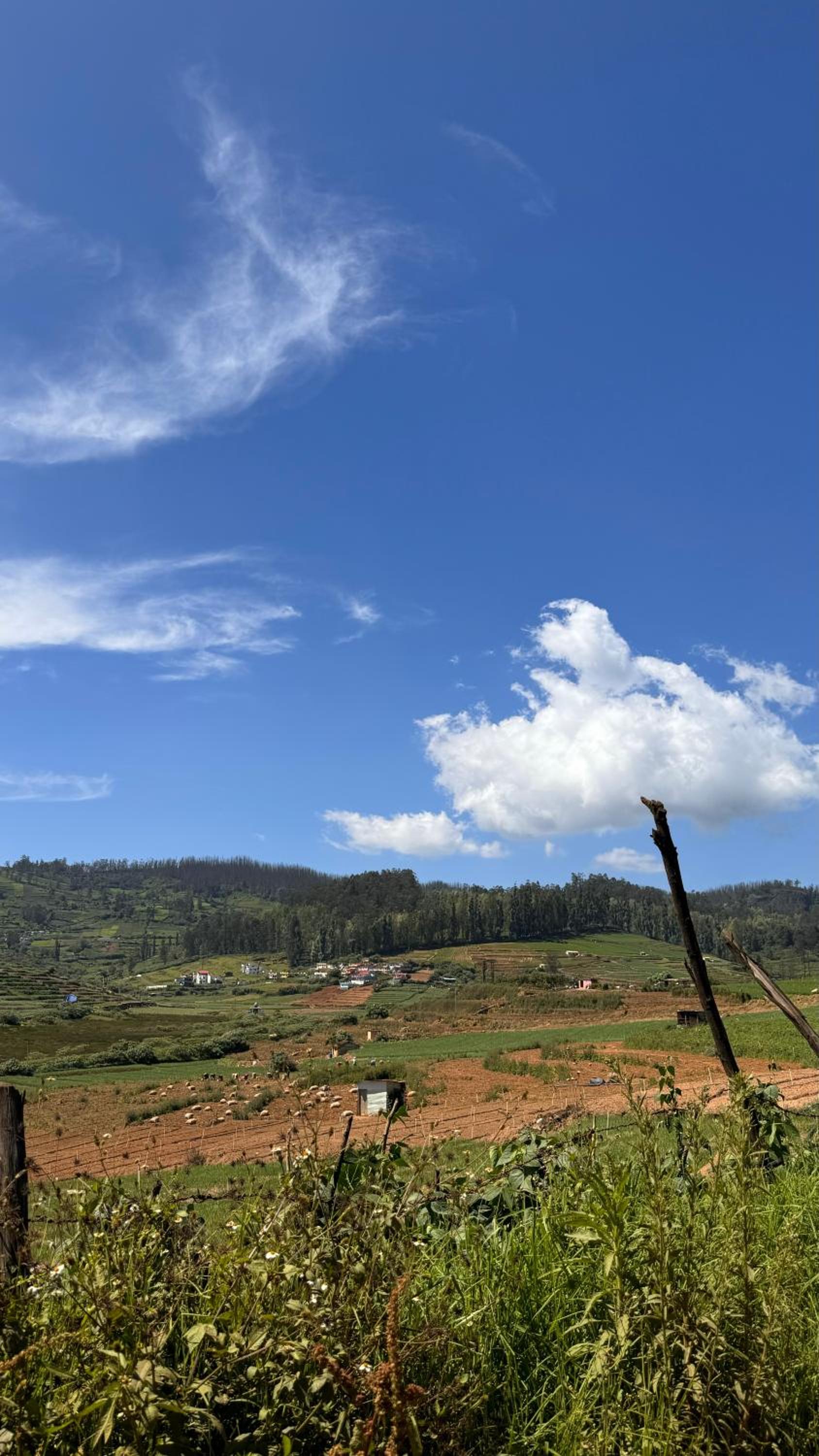 The Wooden Springs view 2