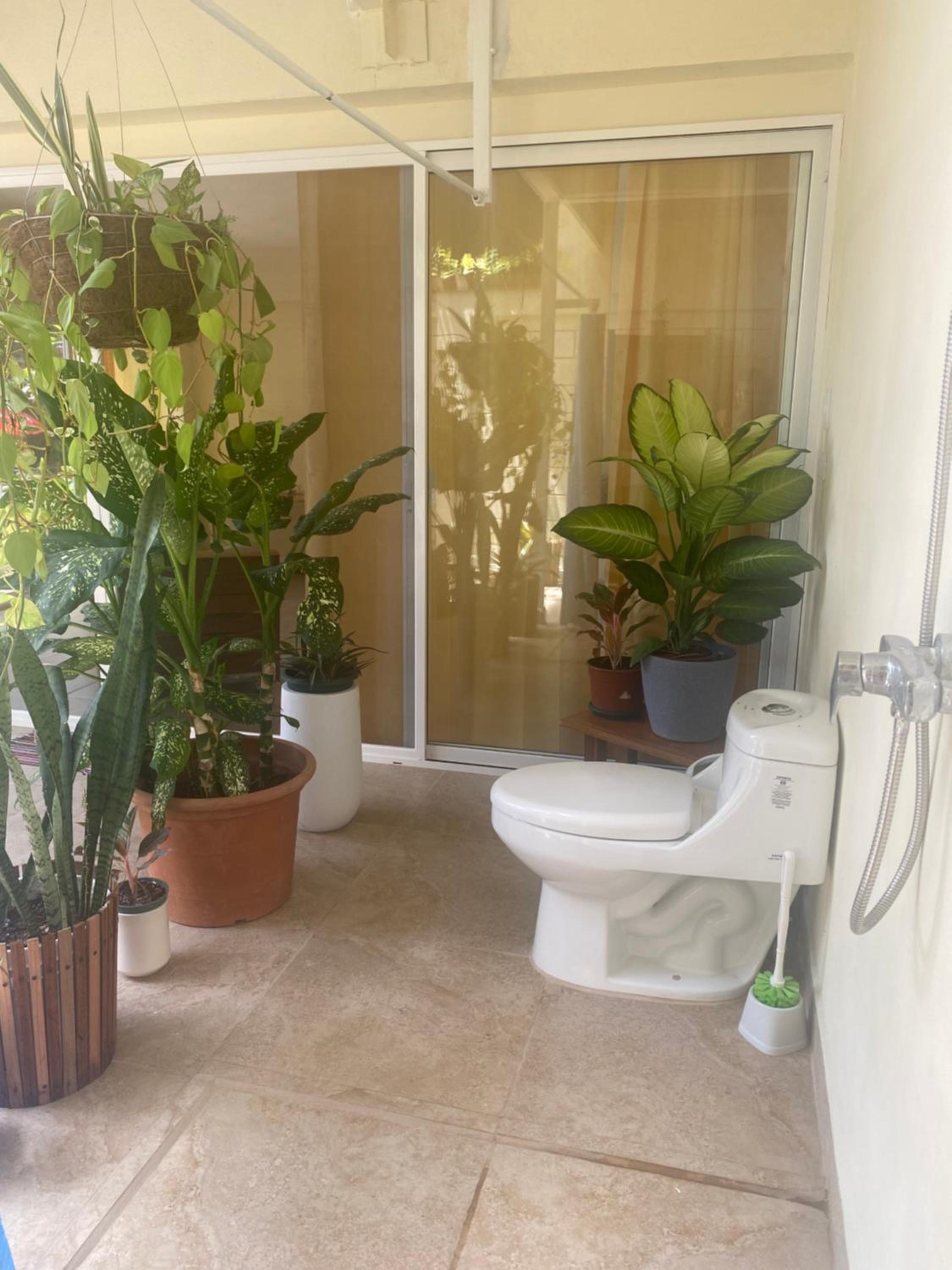 Pura Vida Boutique Apartments
