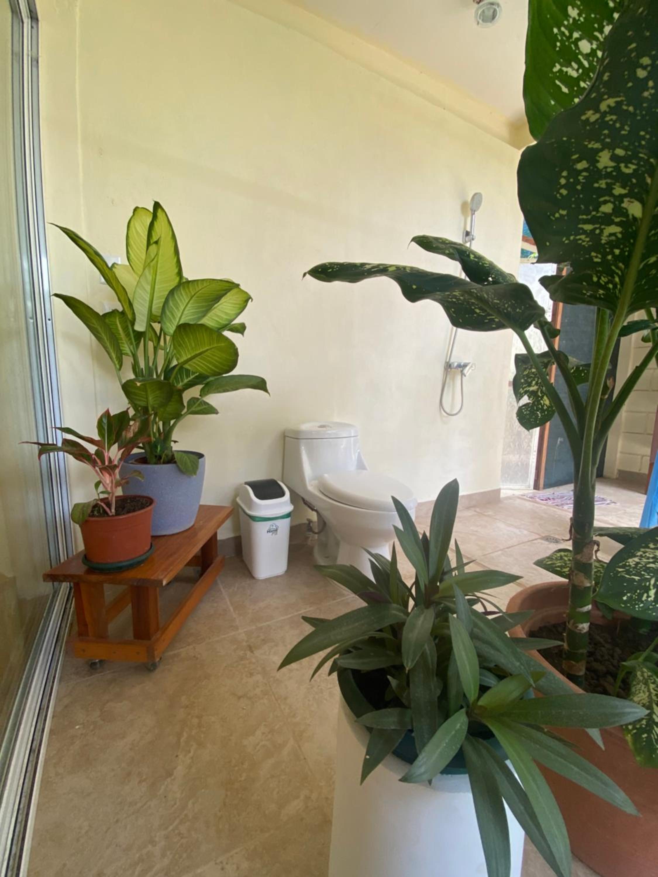 Pura Vida Boutique Apartments