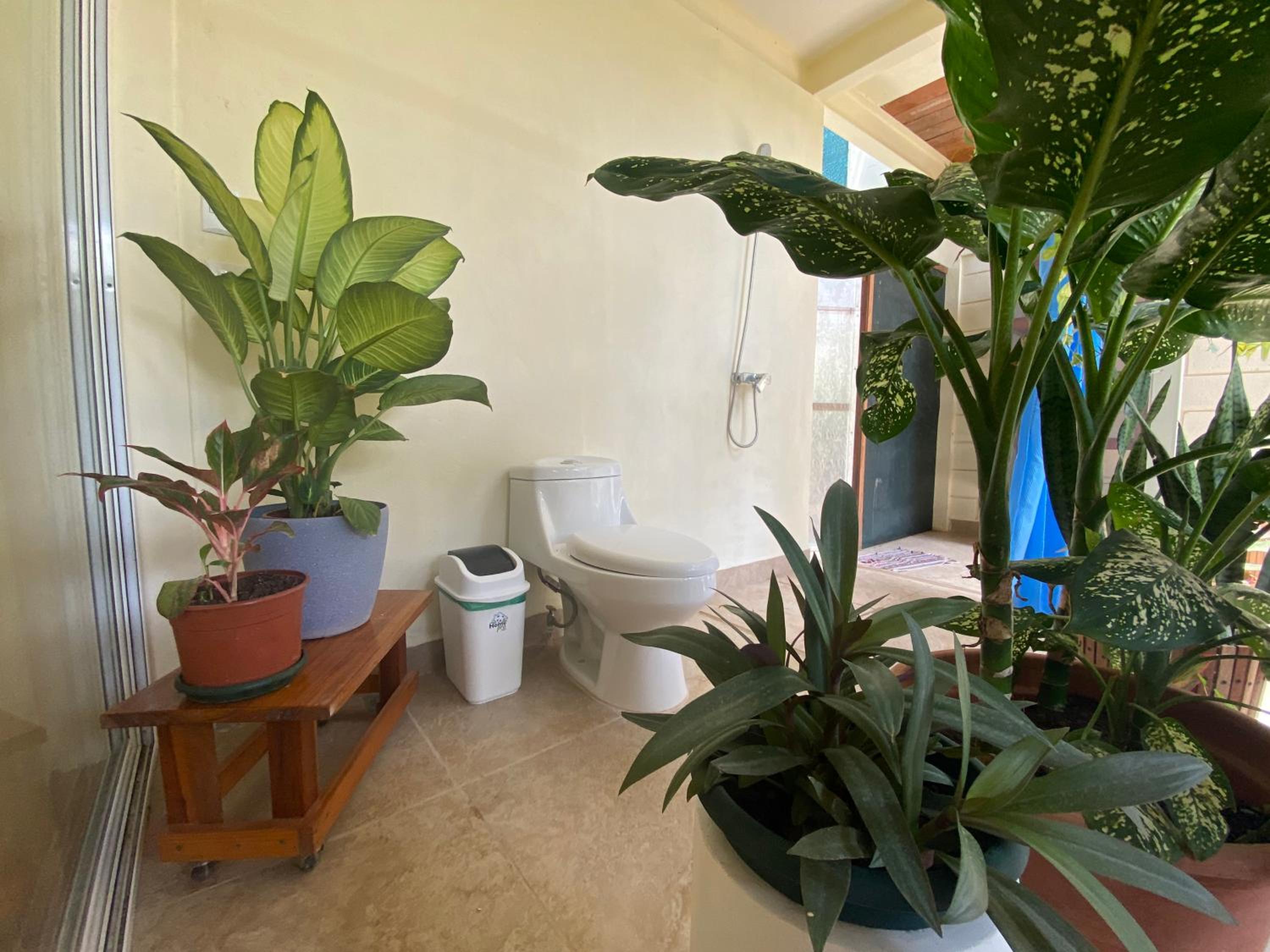 Pura Vida Boutique Apartments