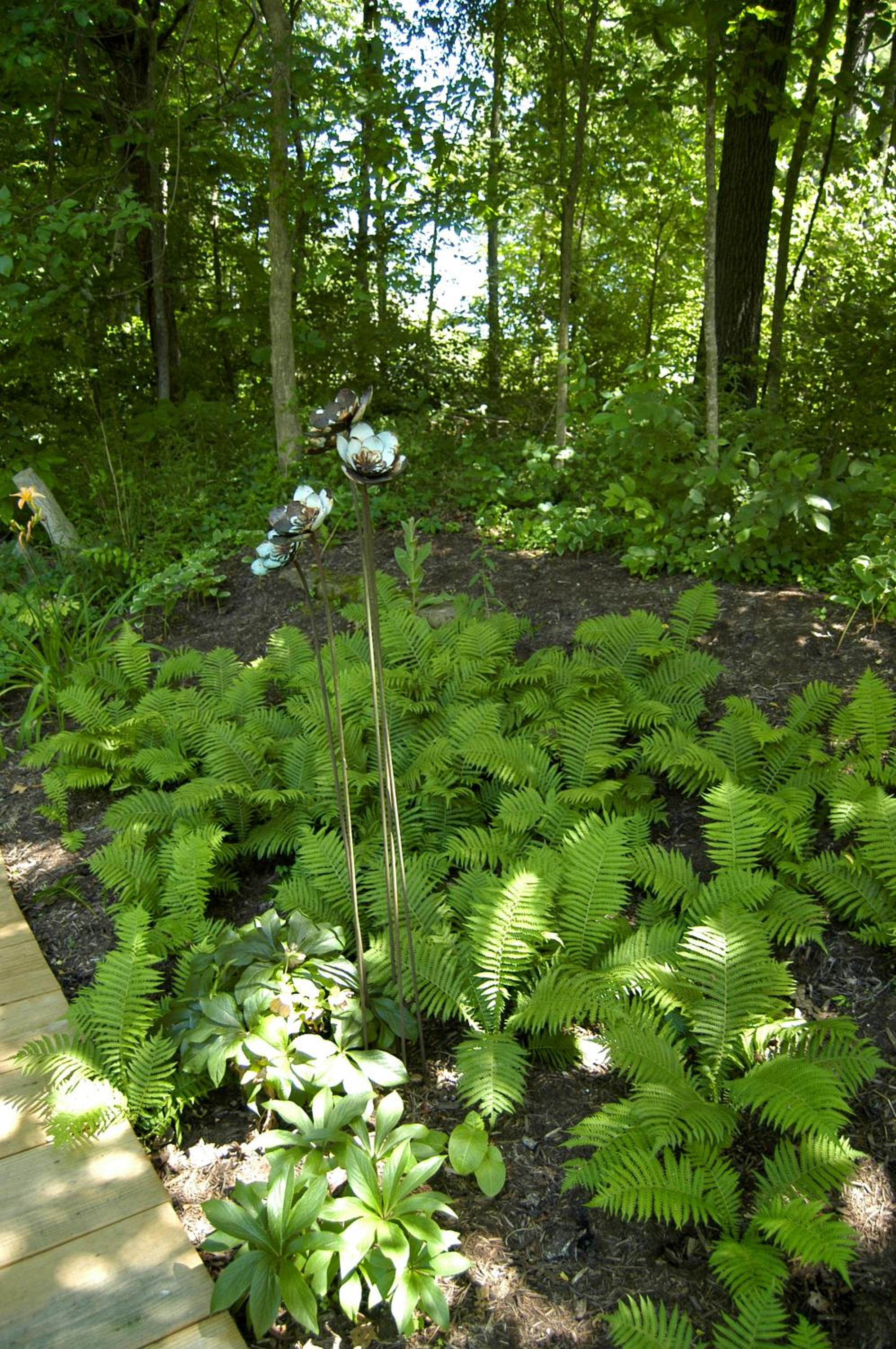 Photo 29