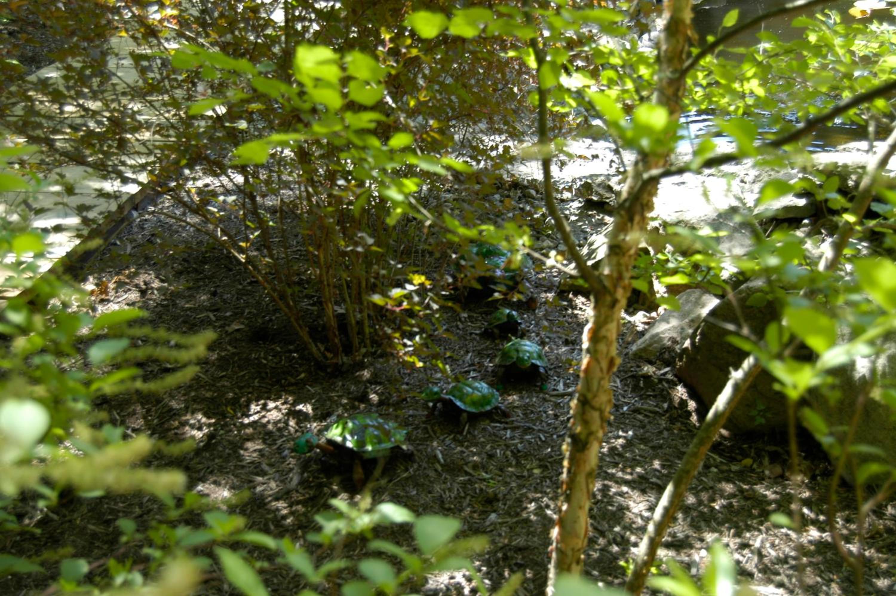 Photo 32