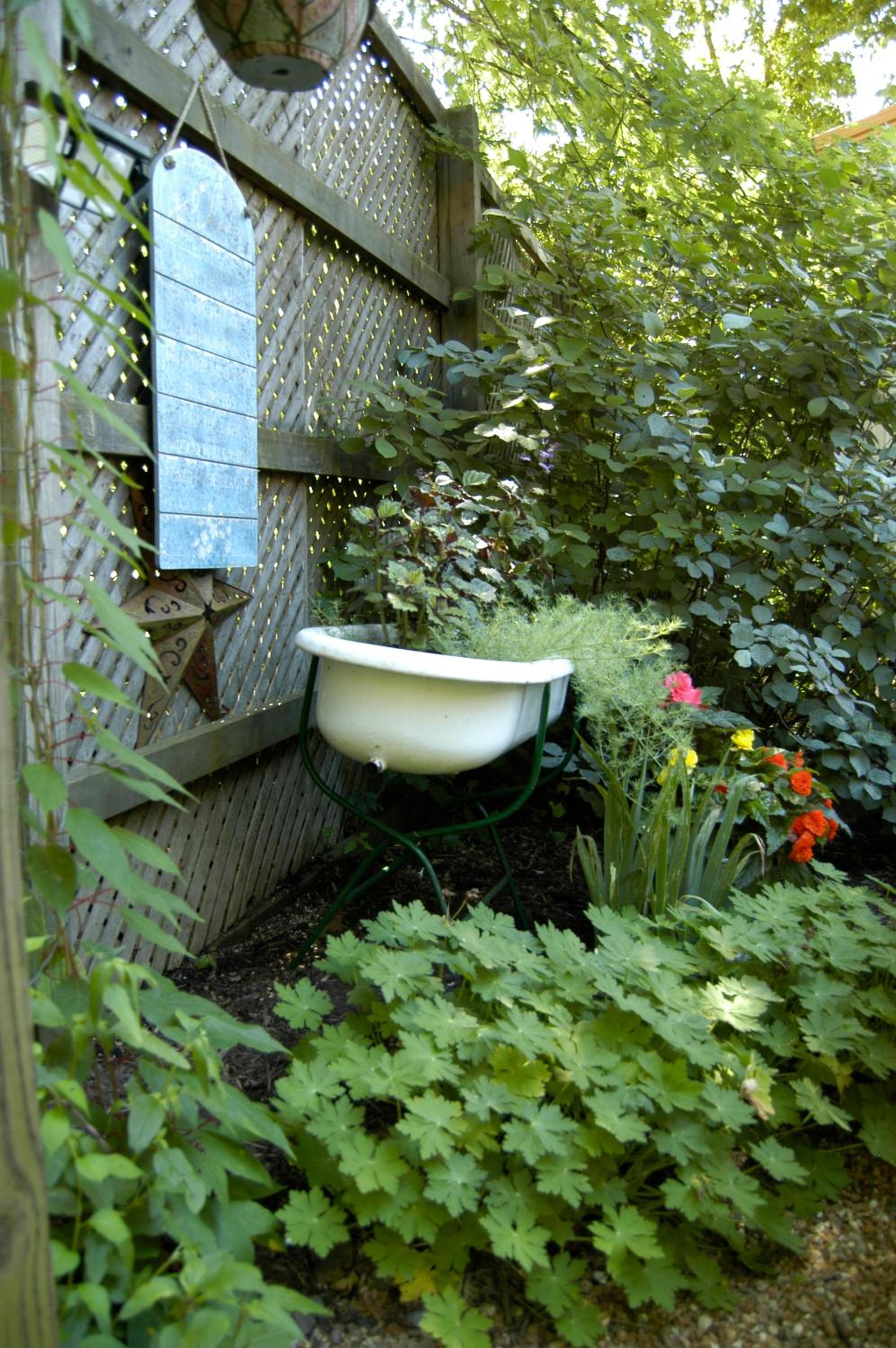 Photo 42