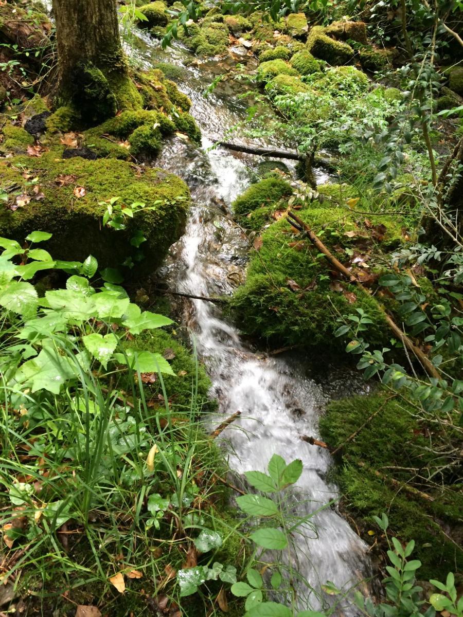 Photo 24