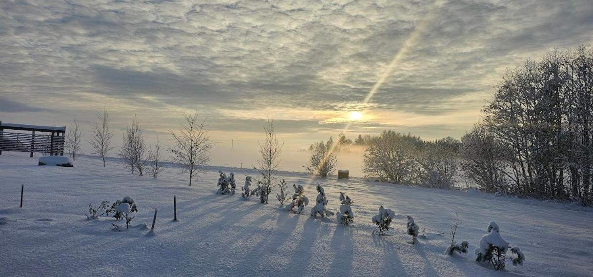 Pöögle Järvemaja