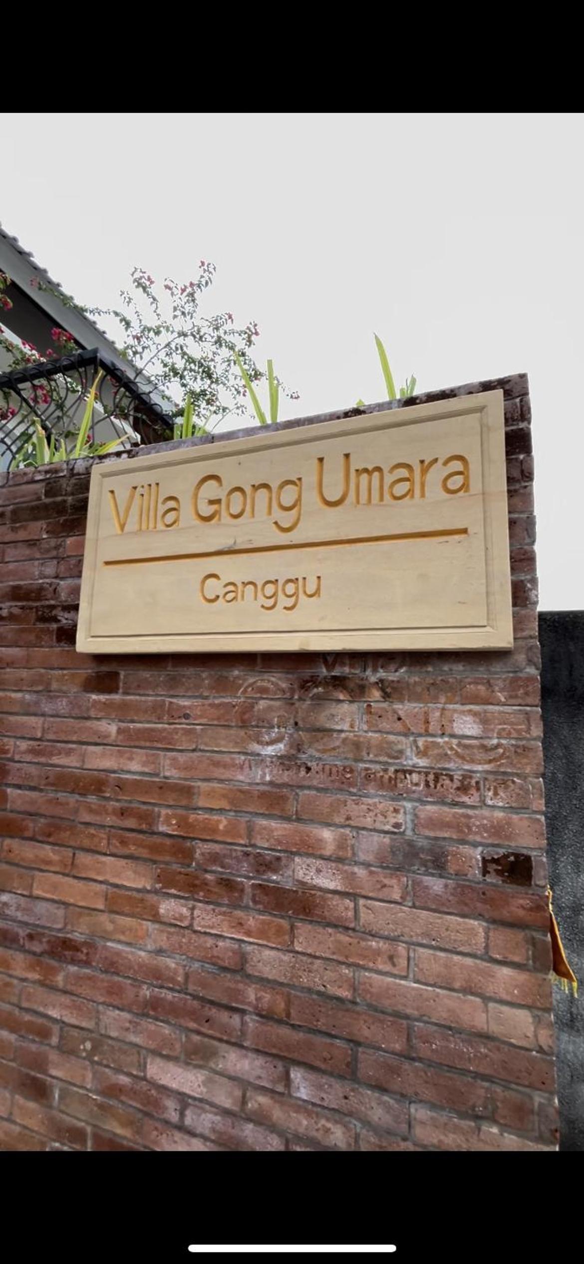 Villa Gong Umara Canggu view 2