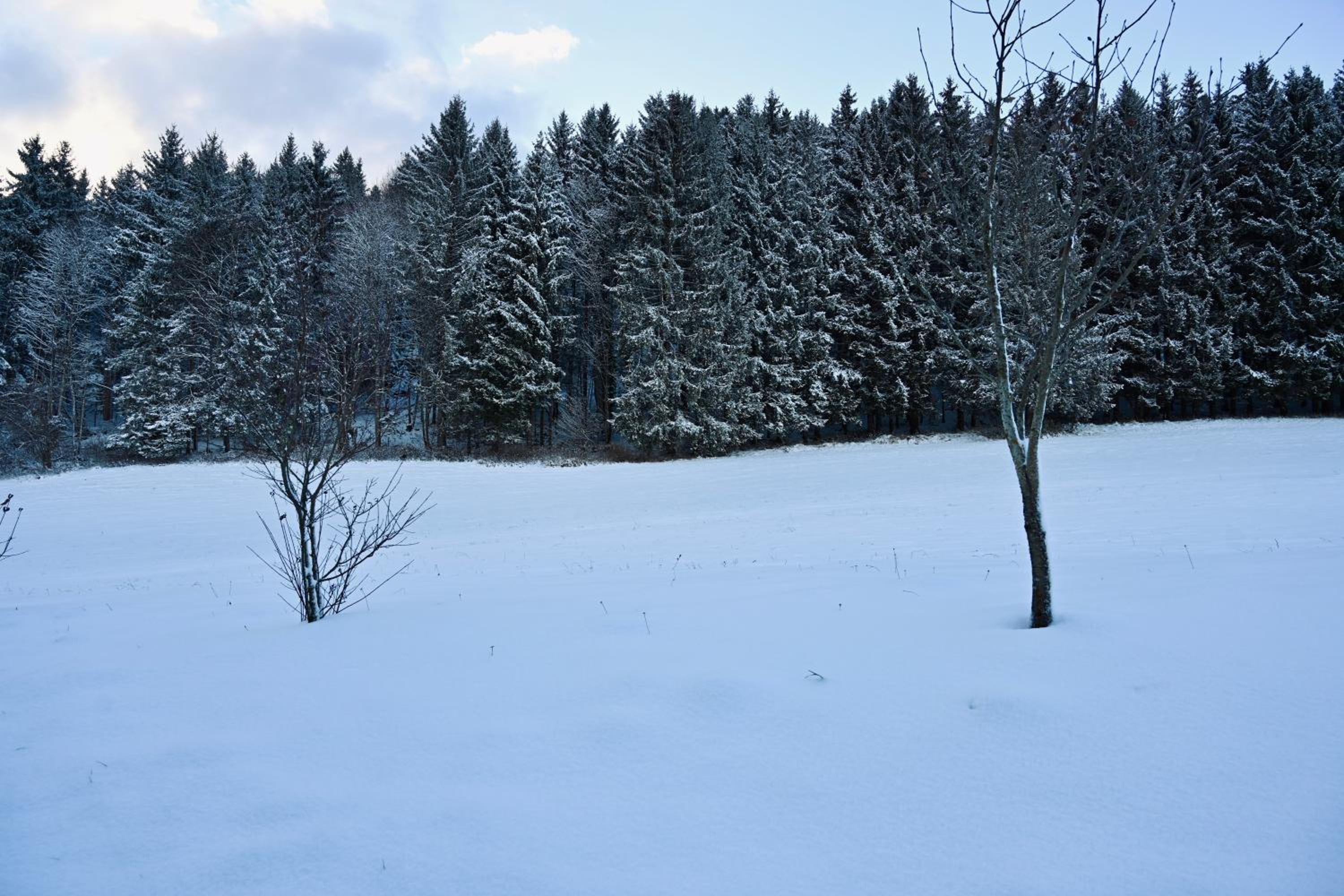 ALOHA Suites - Alp LOdge HAus