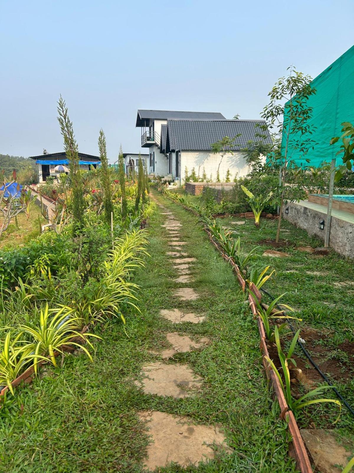 Photo 19