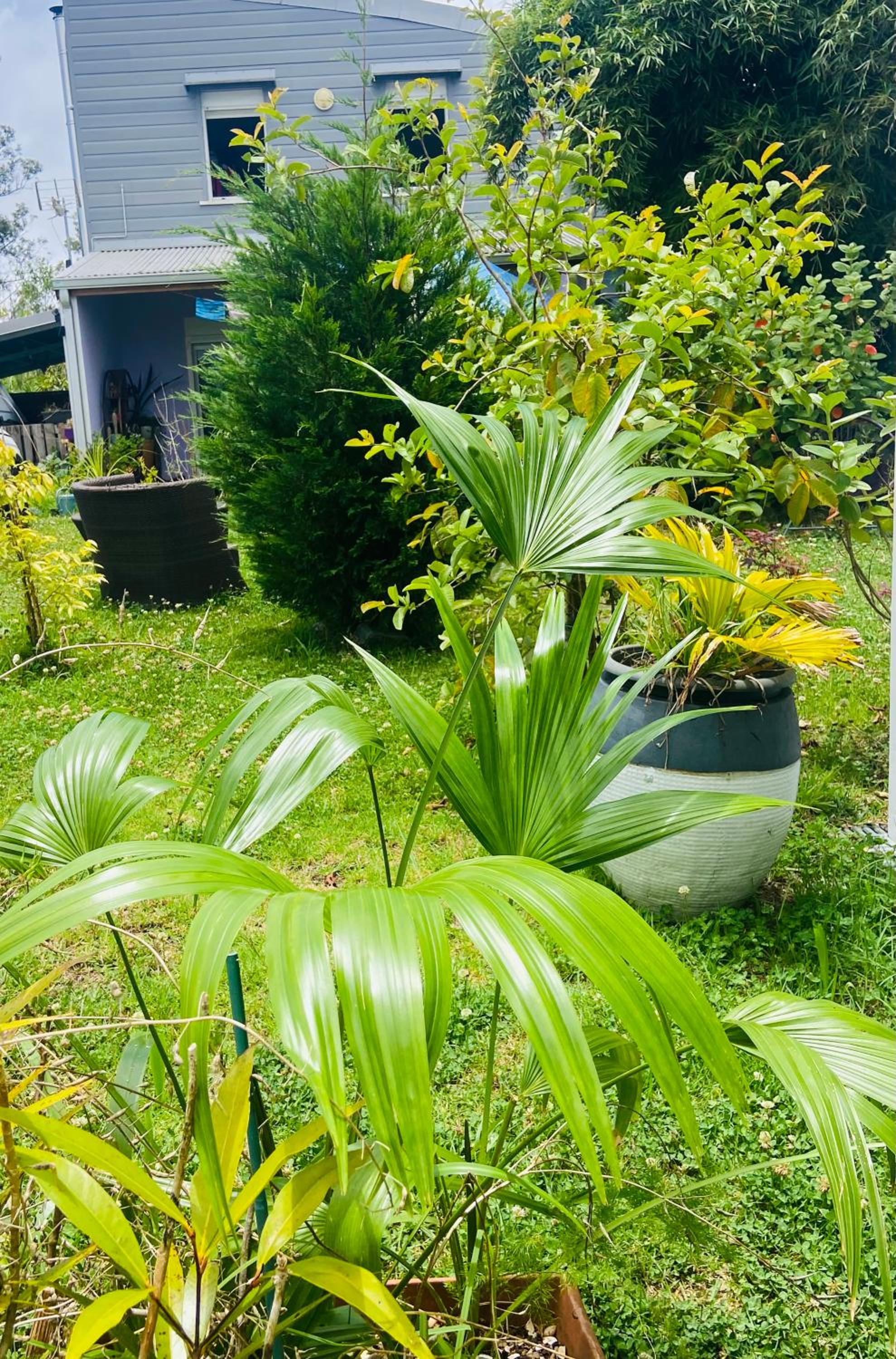 Karma oasis view 2