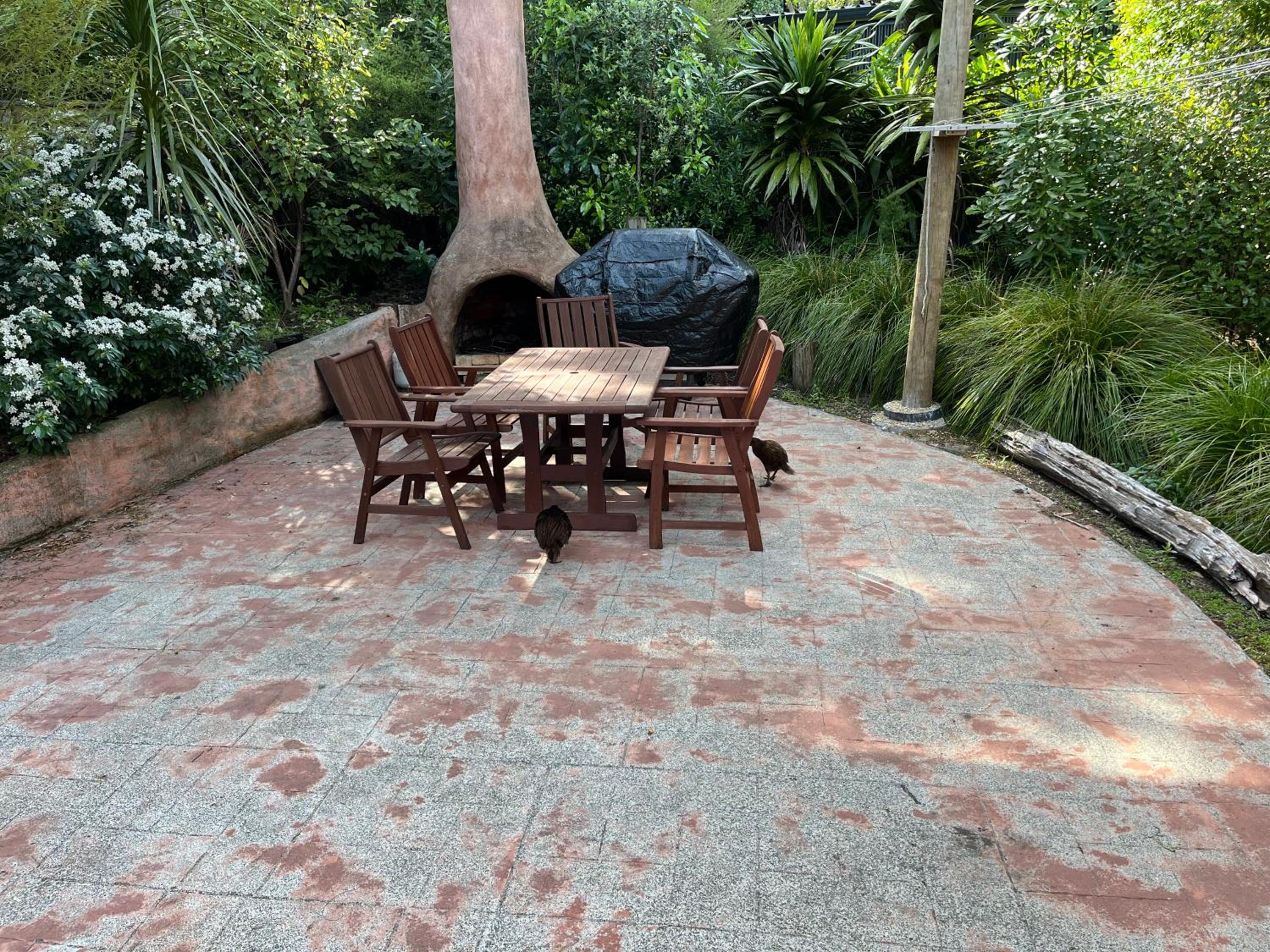 Photo 15