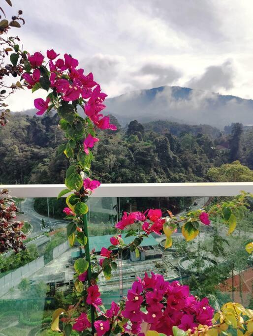 #MyLuxeGetaway,Quintet Cameron Highlands