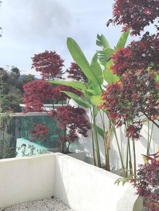 #MyLuxeGetaway,Quintet Cameron Highlands