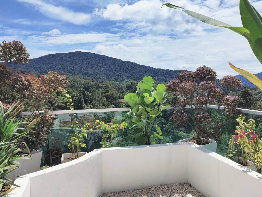 #MyLuxeGetaway,Quintet Cameron Highlands