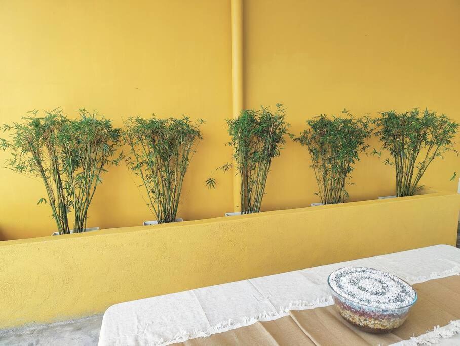 #MyLuxeGetaway,Quintet Cameron Highlands
