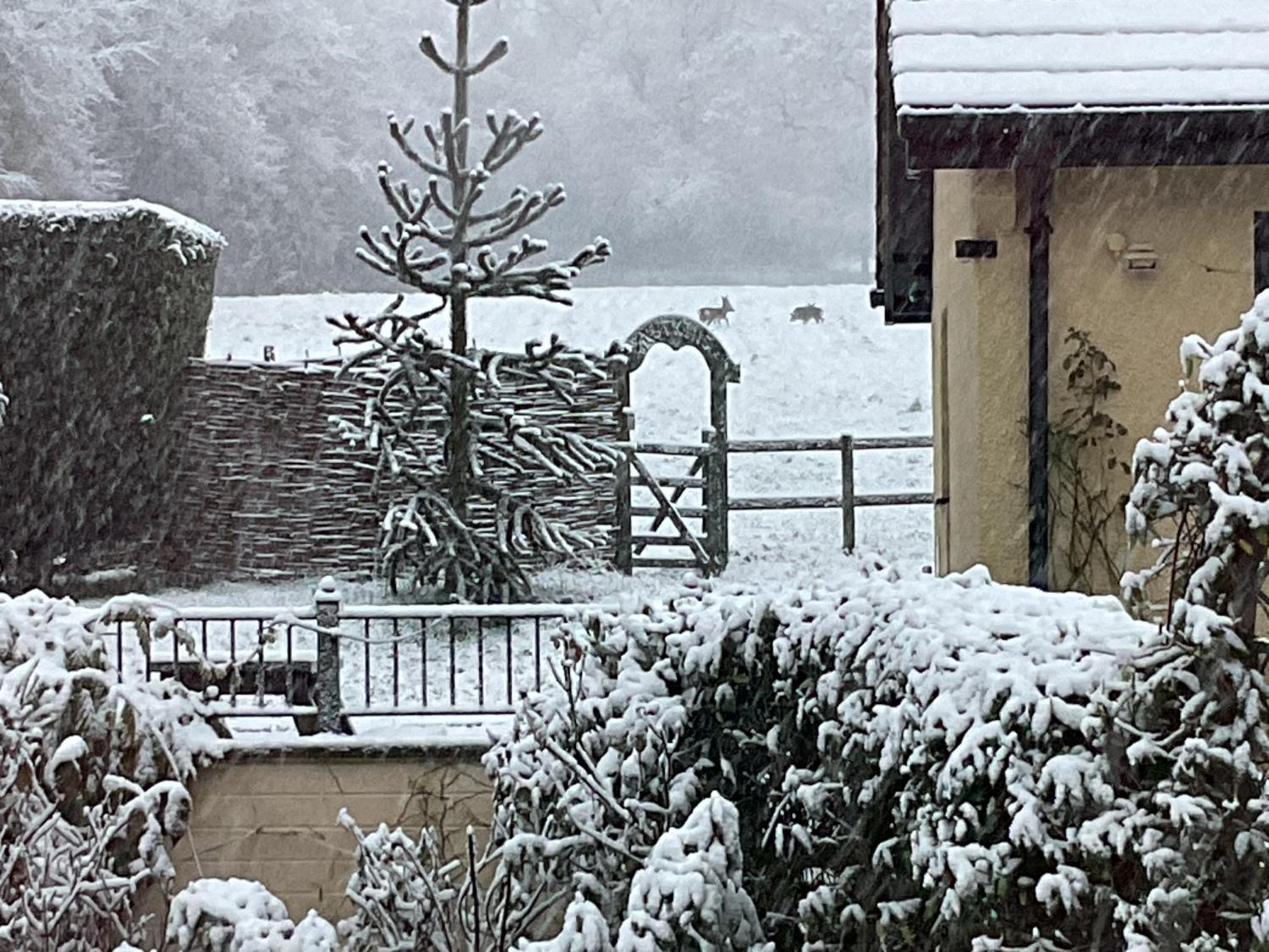 other