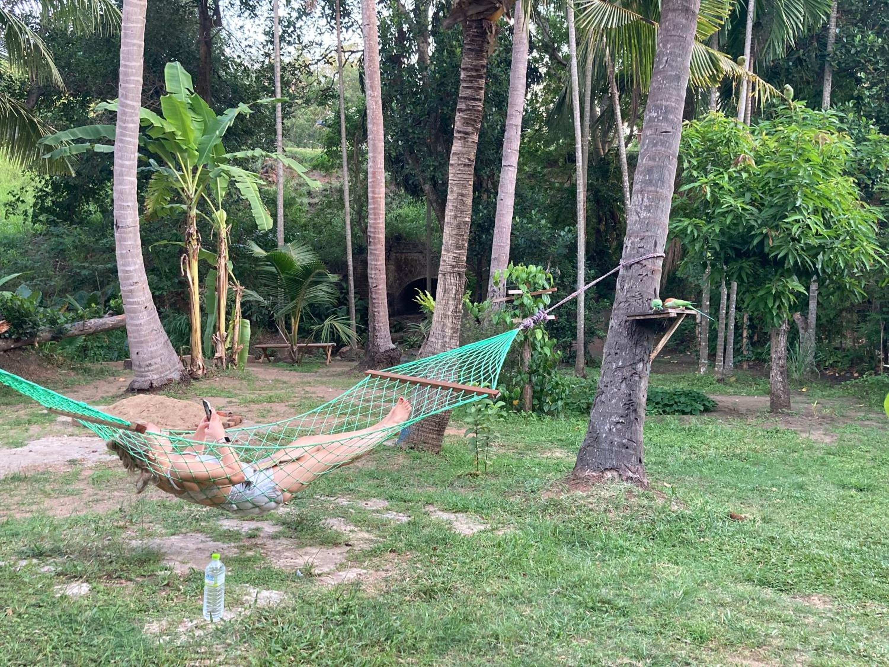 Chill House Hostel, photo 22