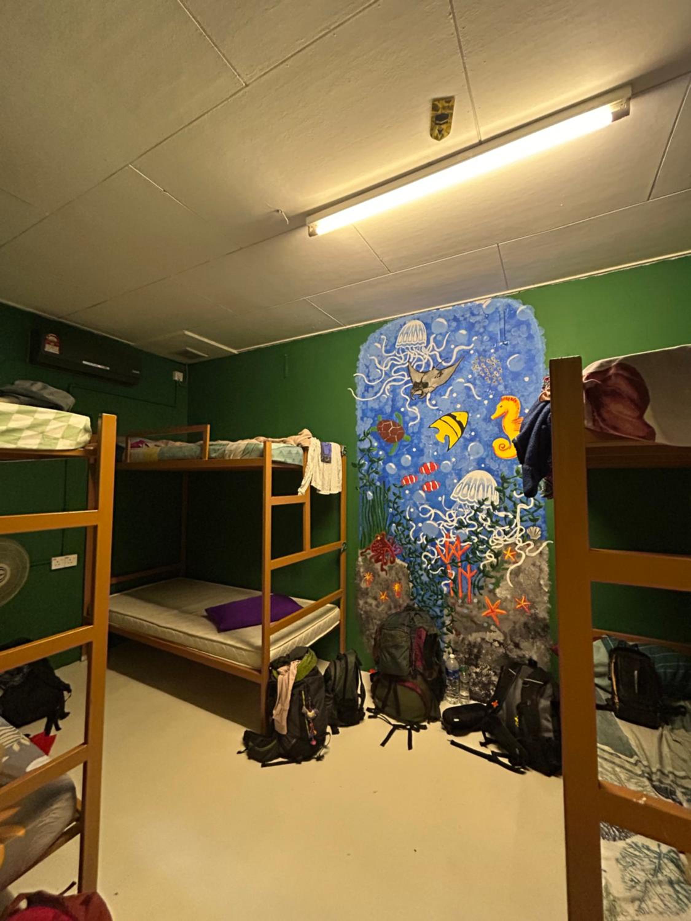 Photo 13