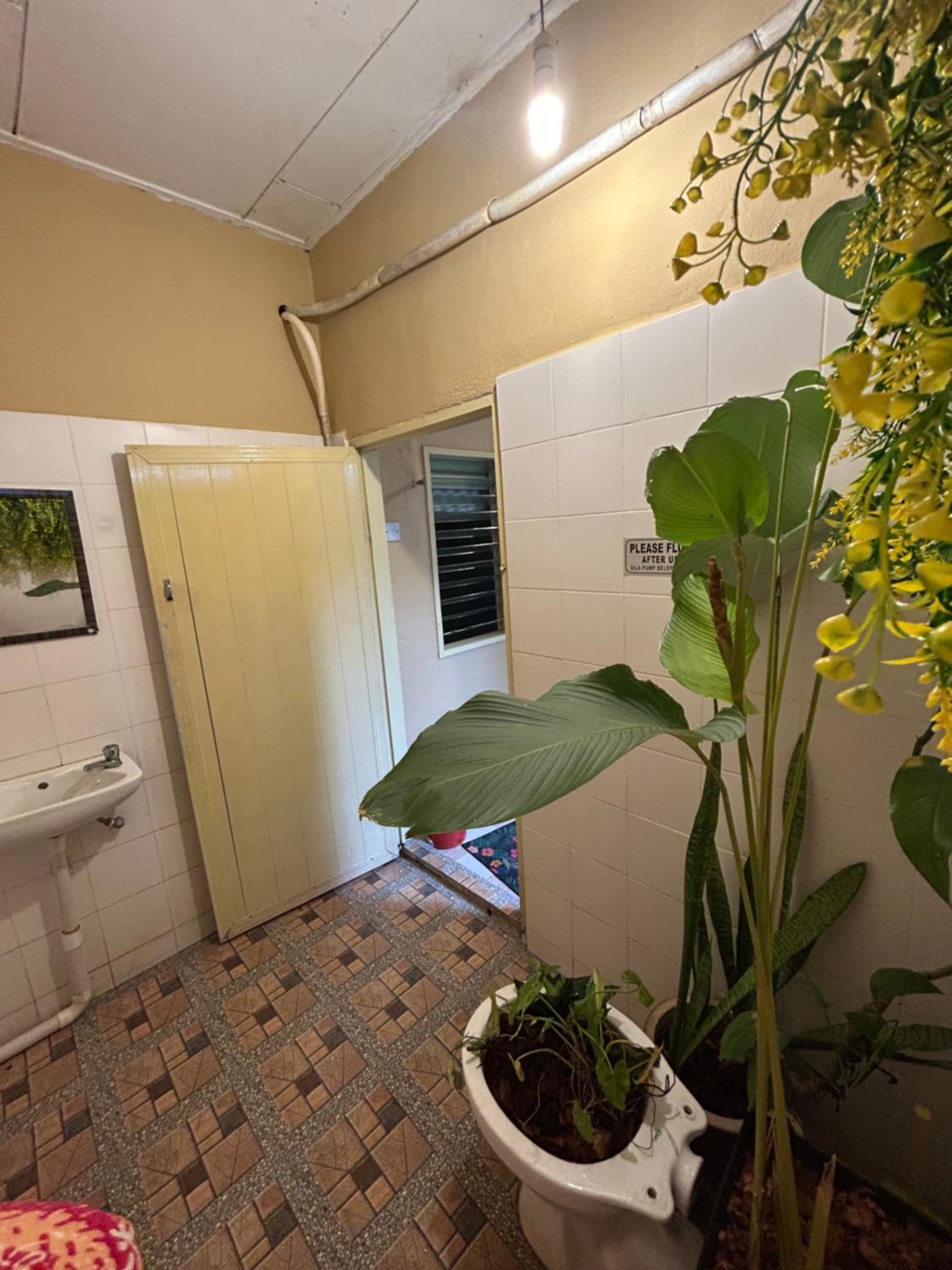 Photo 104