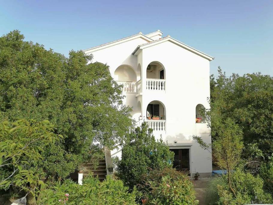 Apartman Jelena