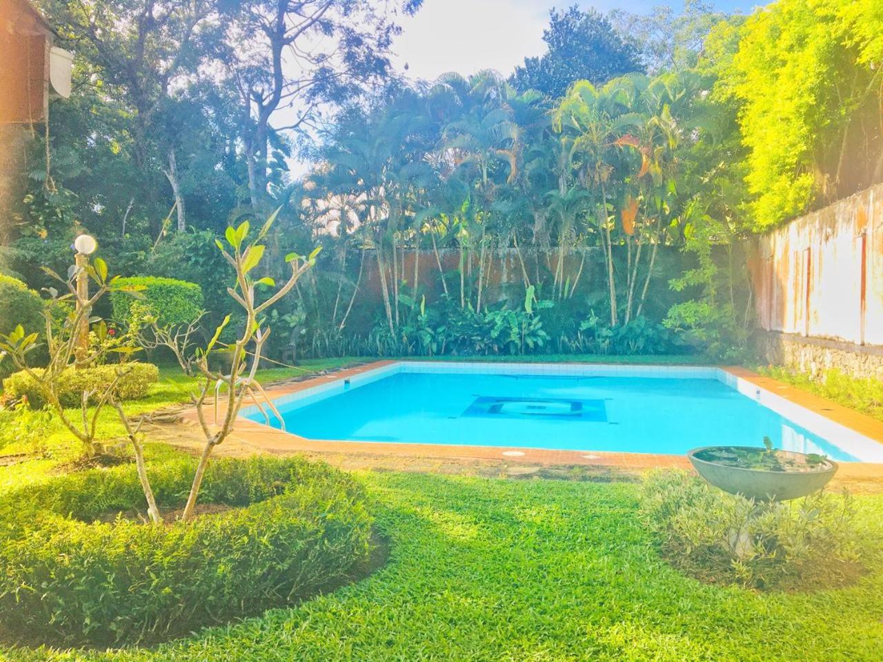 New Greenish Villa view 3