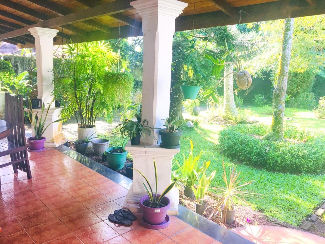 New Greenish Villa view 4