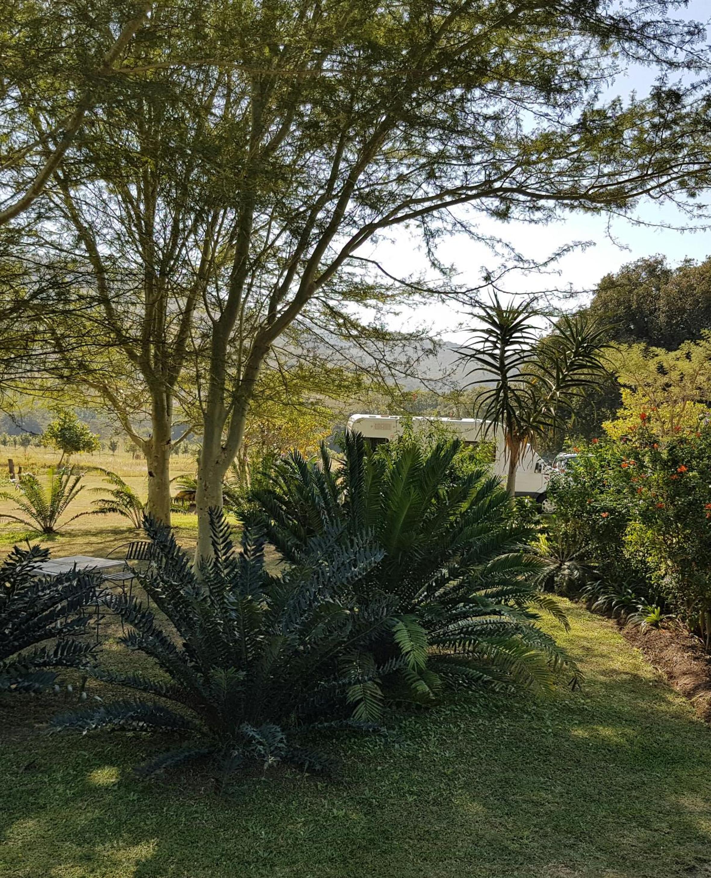Kiaat Bungalows