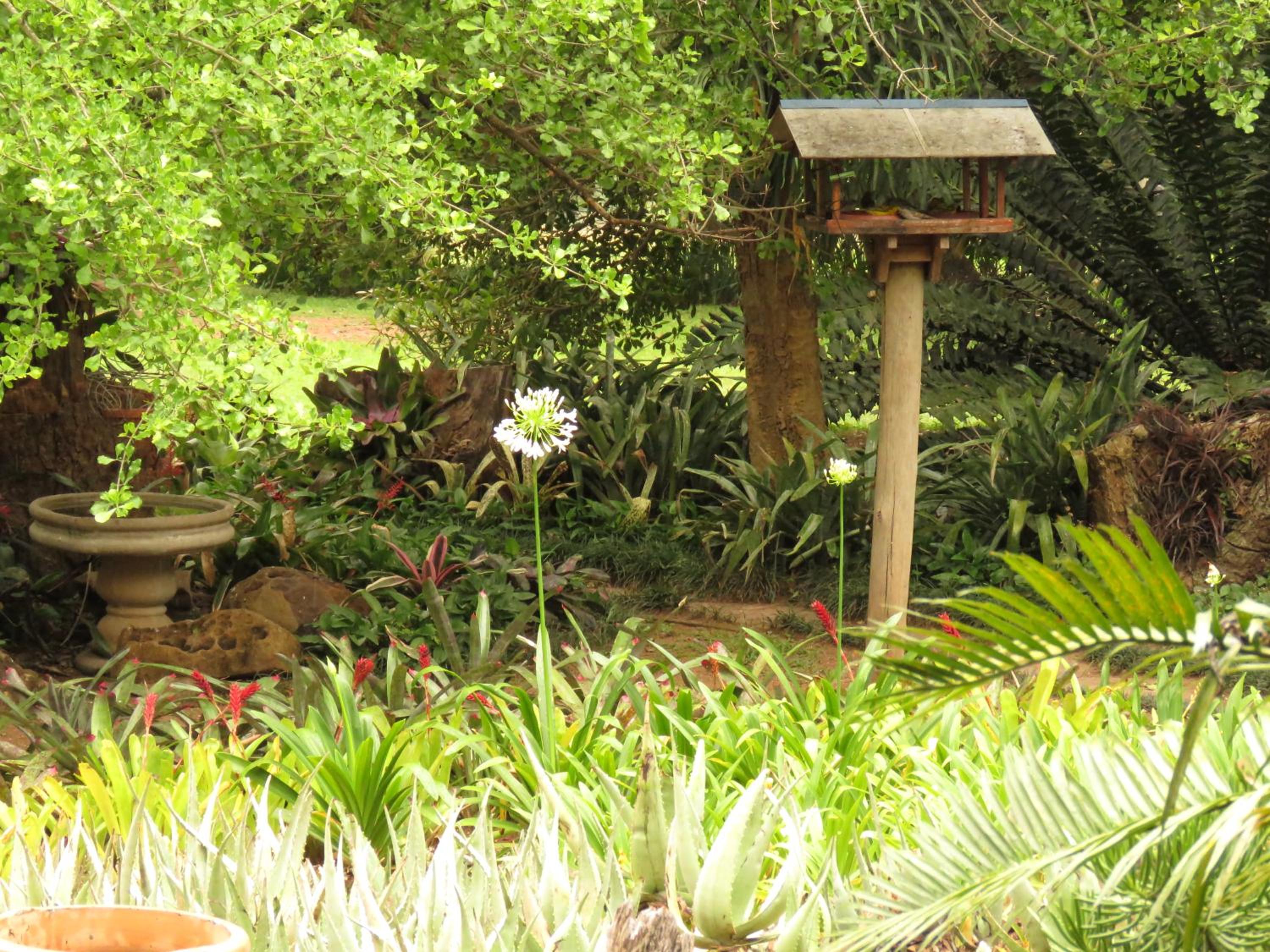 Kiaat Bungalows