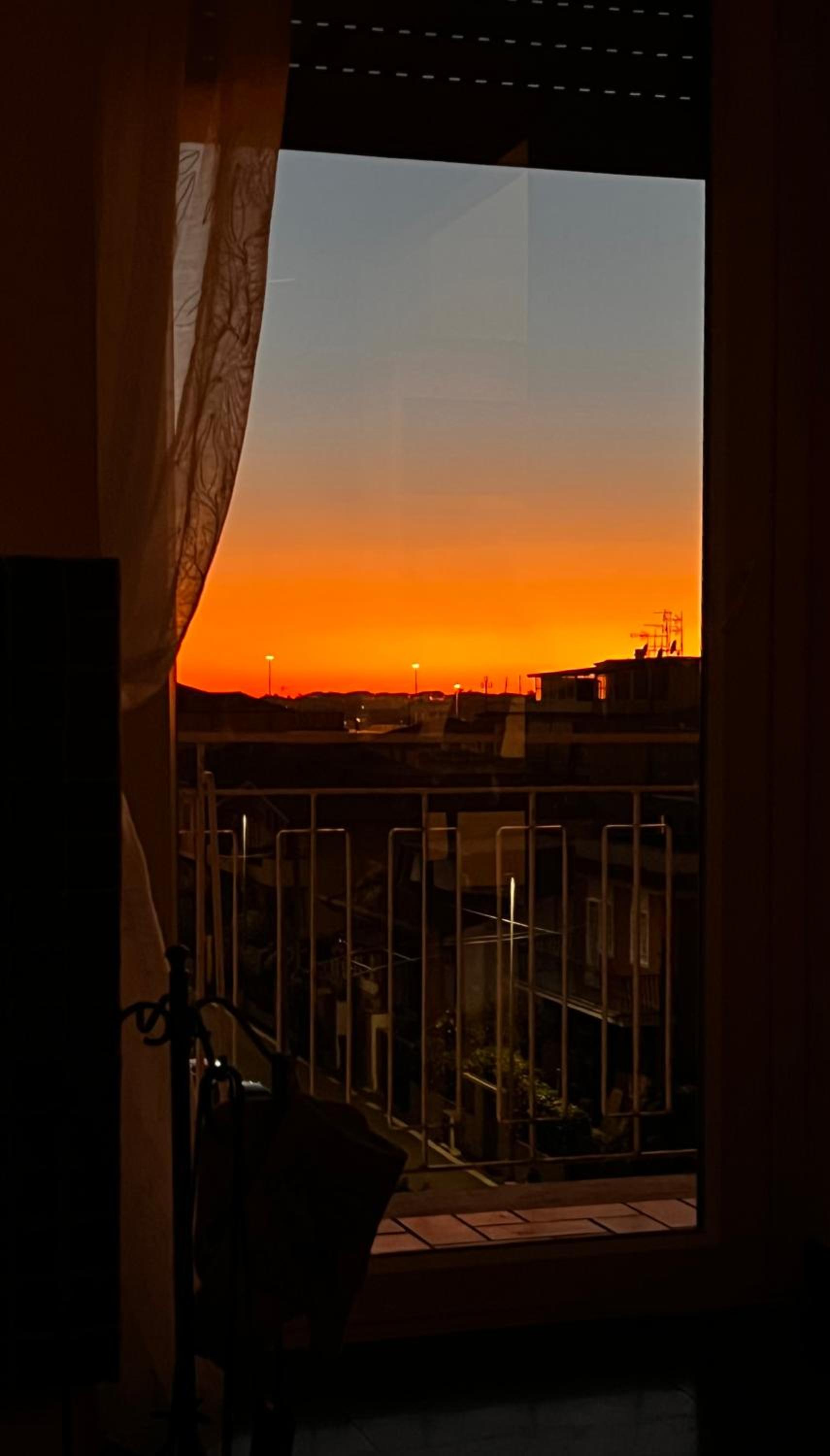 Domus Carpe Diem photo 5