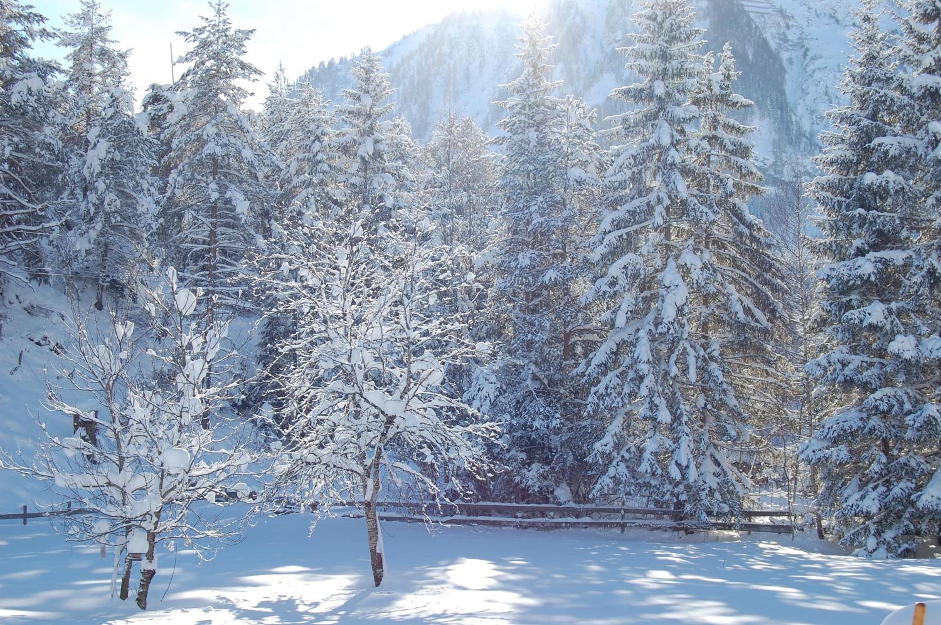 Photo 42