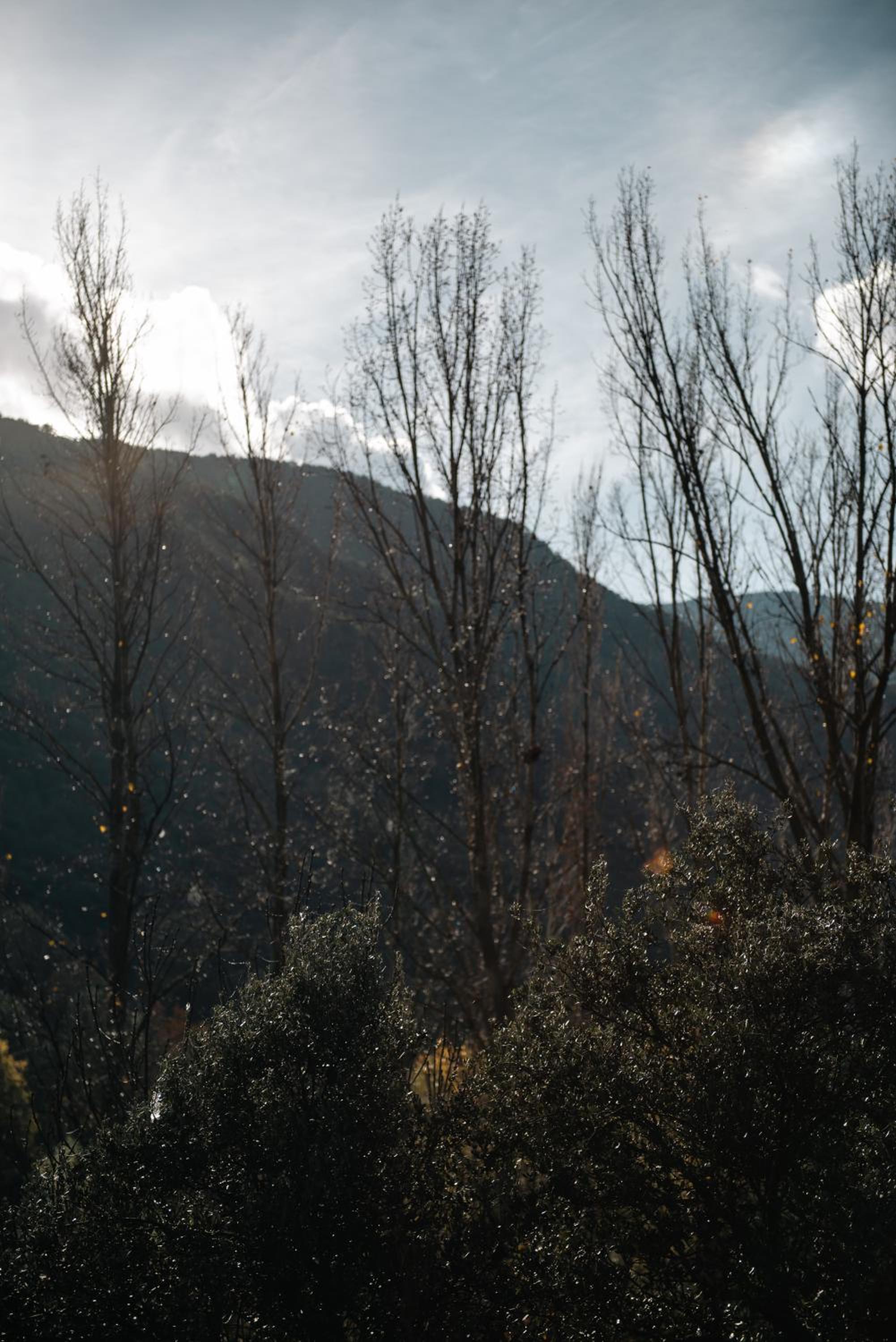 Apartaments i Bungalows Càmping L'Orri del Pallars