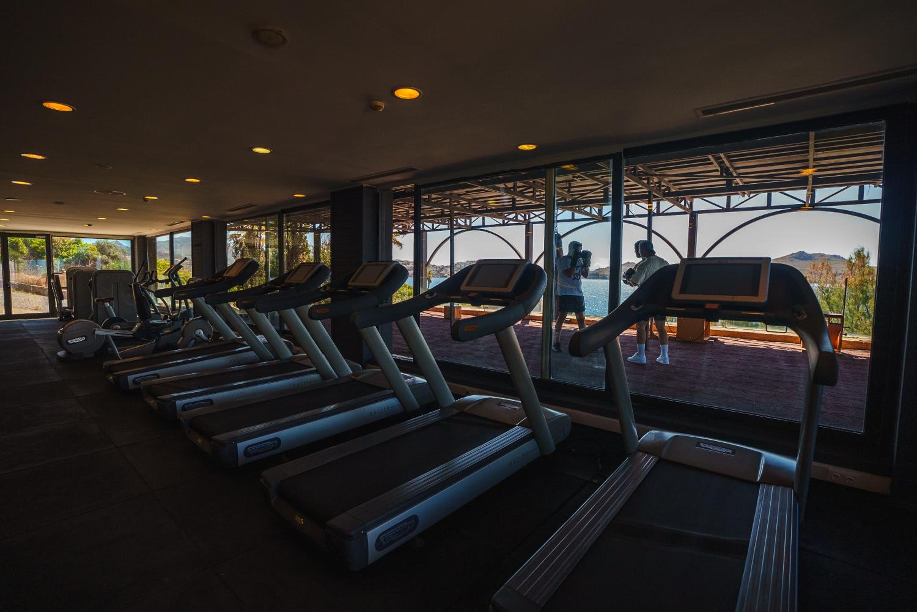 Photo 237