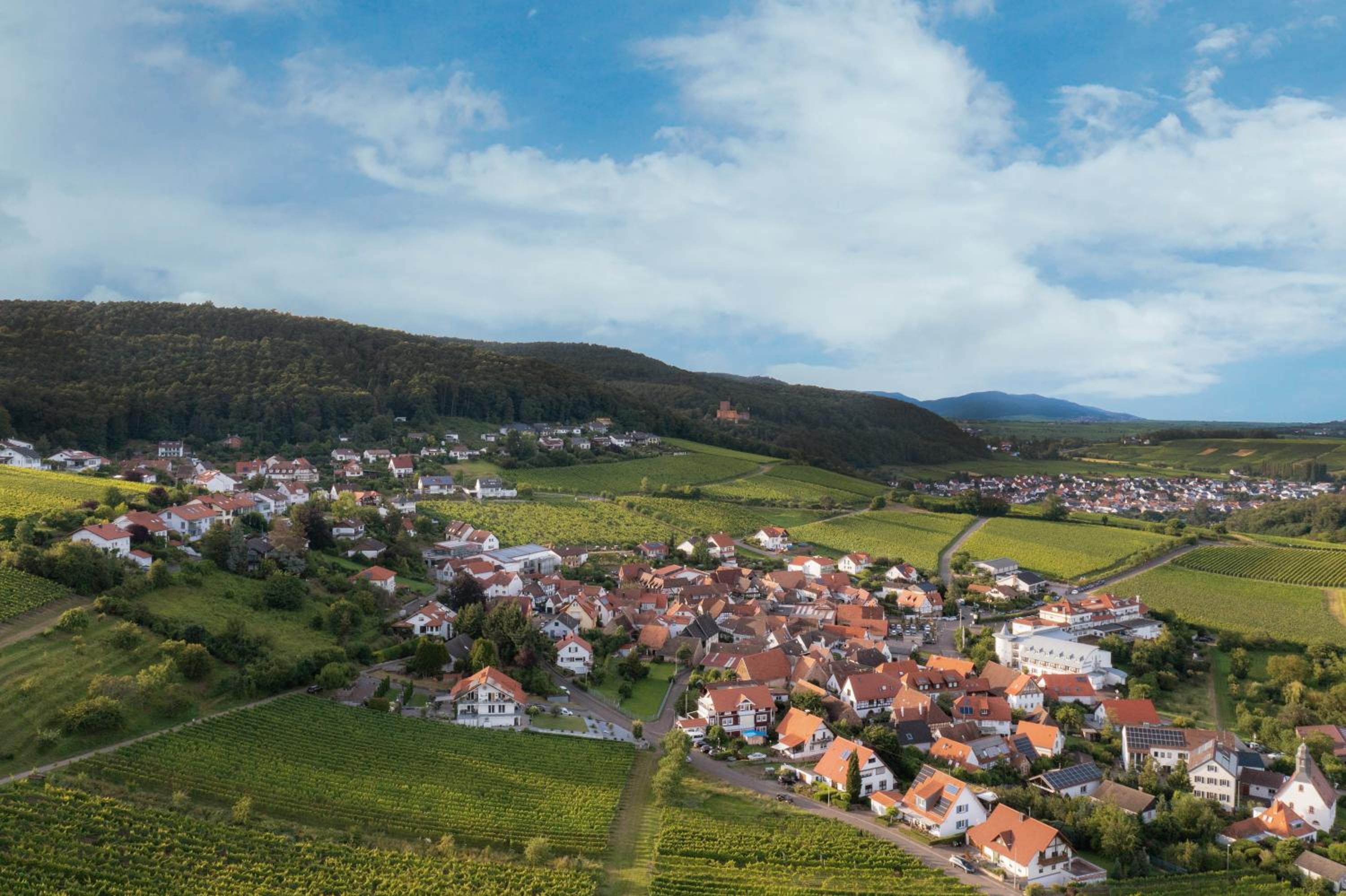 Winzerlodge, Wohnung Kirchberg