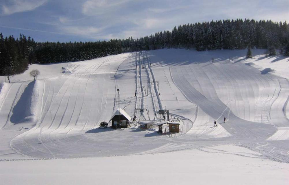 Ferienwohnung in Schönwald Schwarzwald