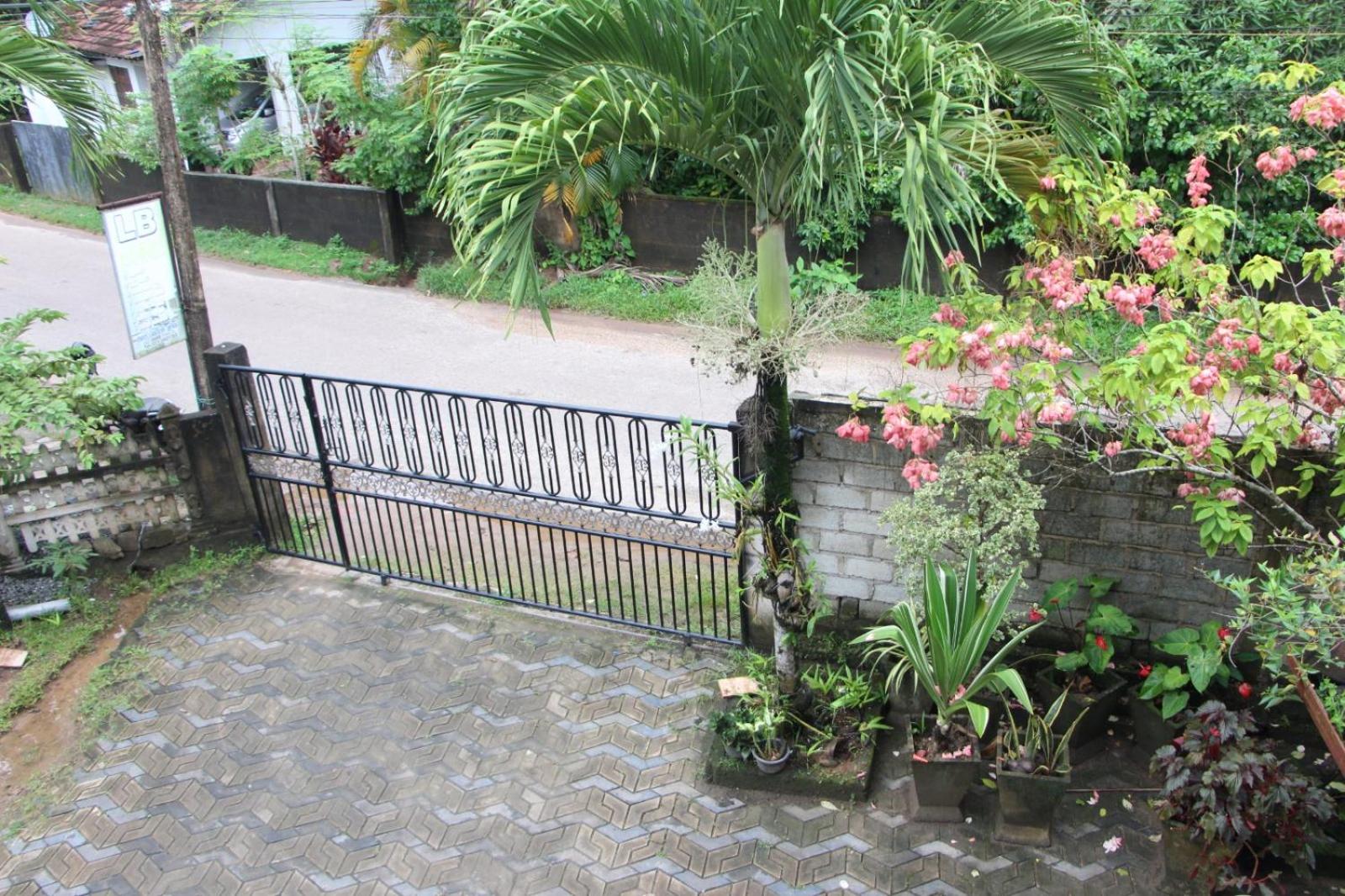 Photo 41