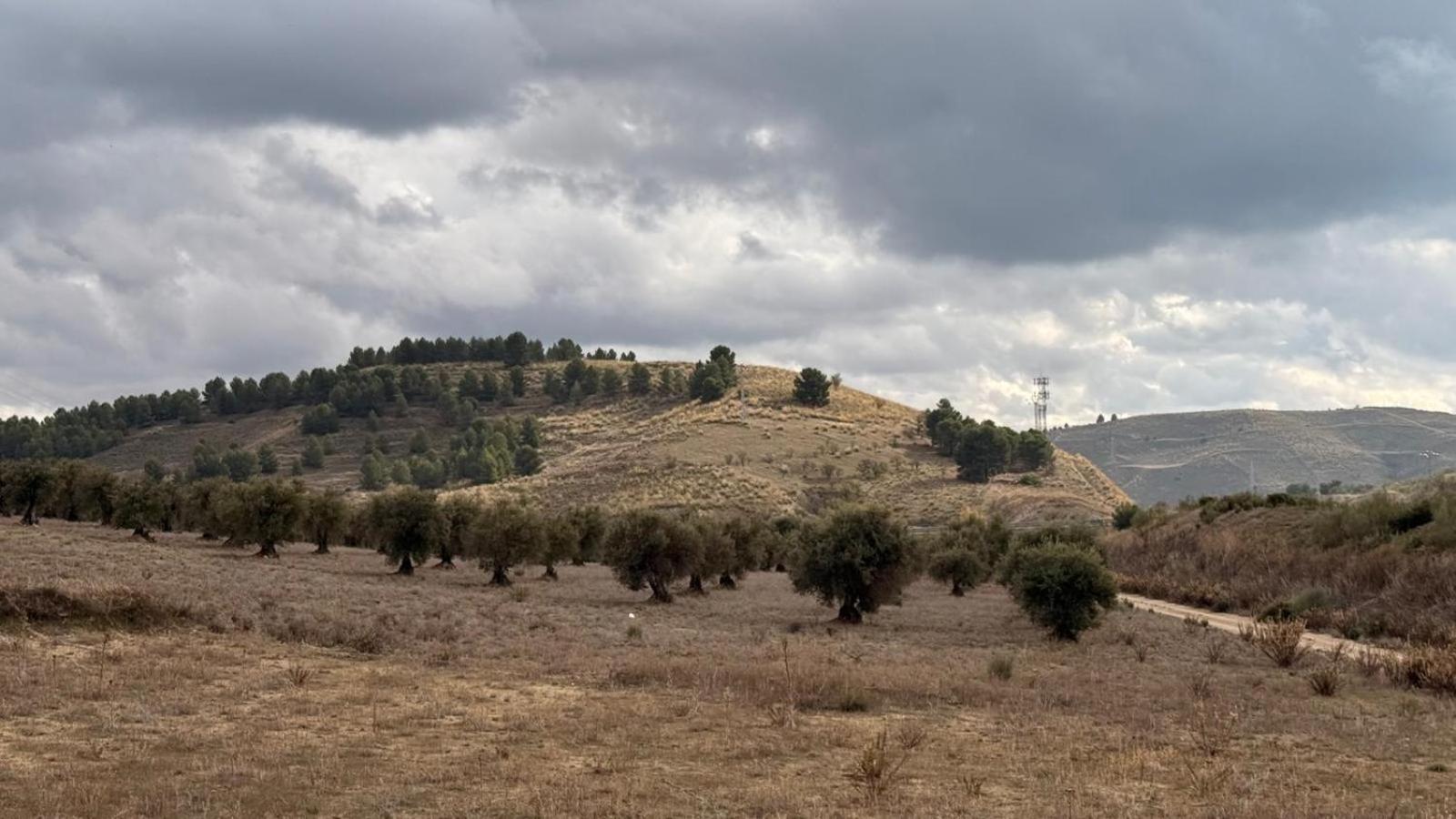 Torre Calera