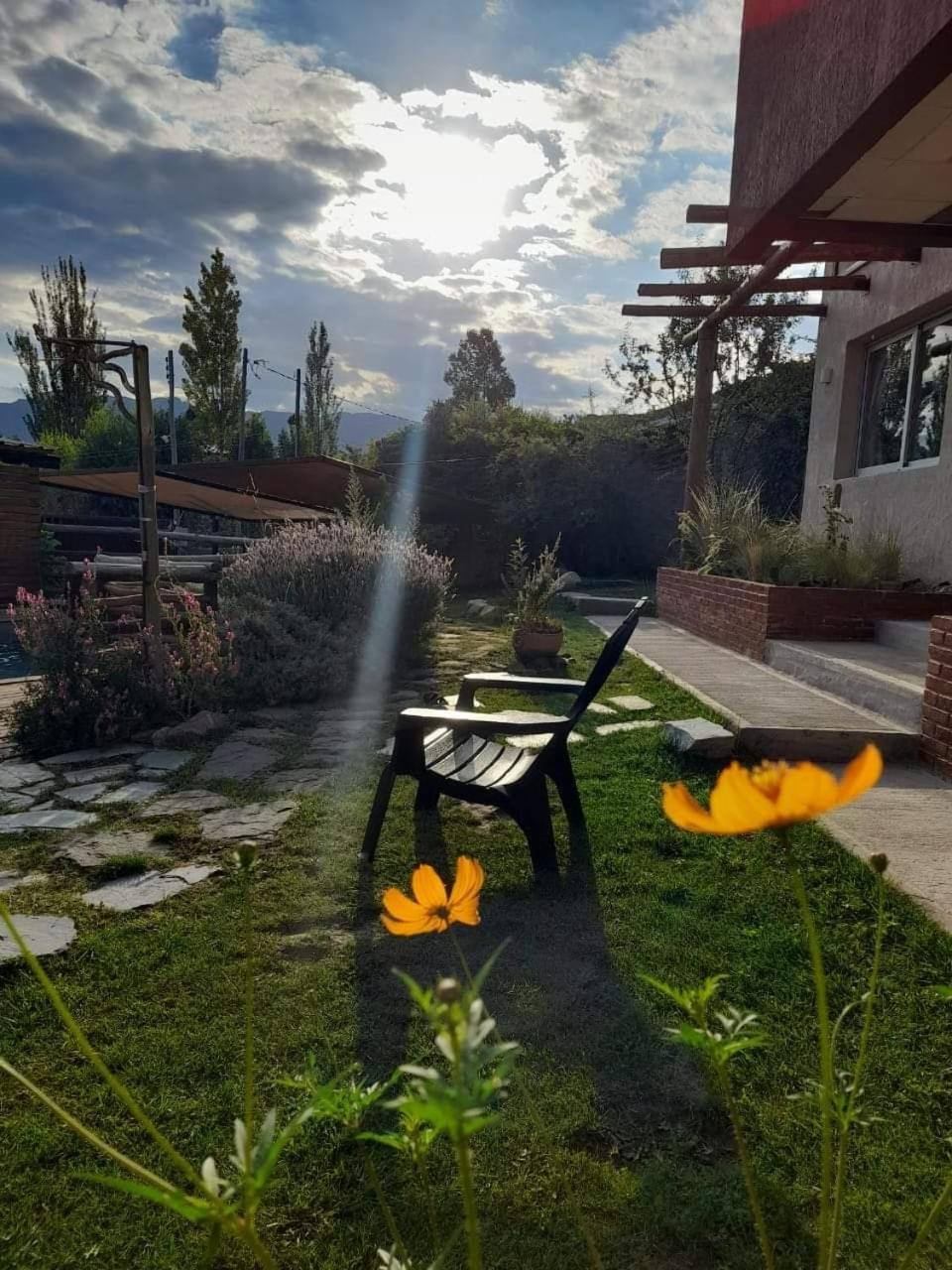 Oasis Jadranca