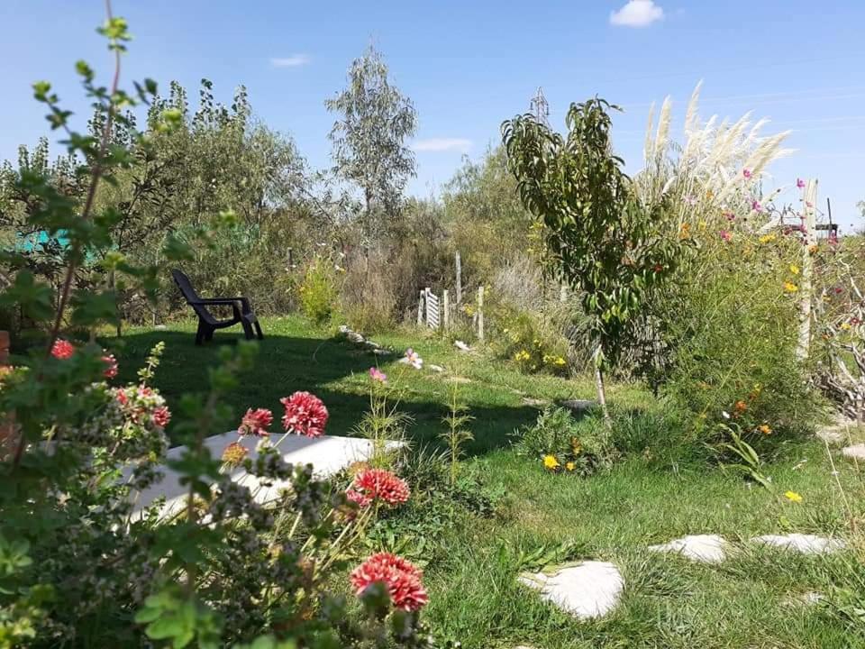 Oasis Jadranca