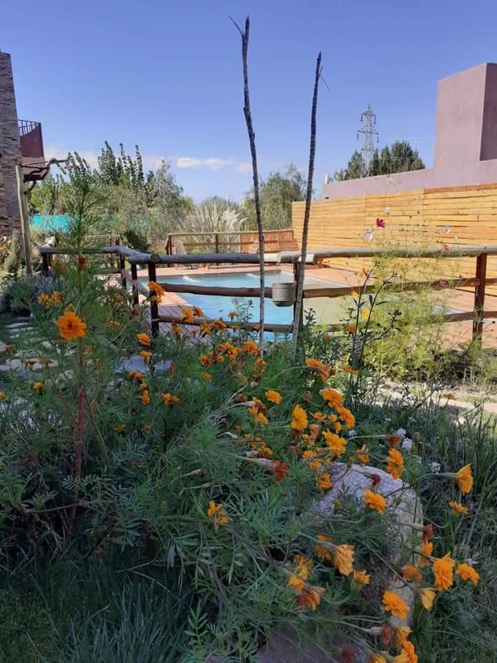 Oasis Jadranca