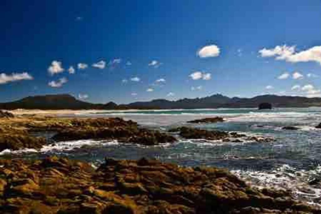 Freemans Bay Ponsonby Auckland Apartment Central