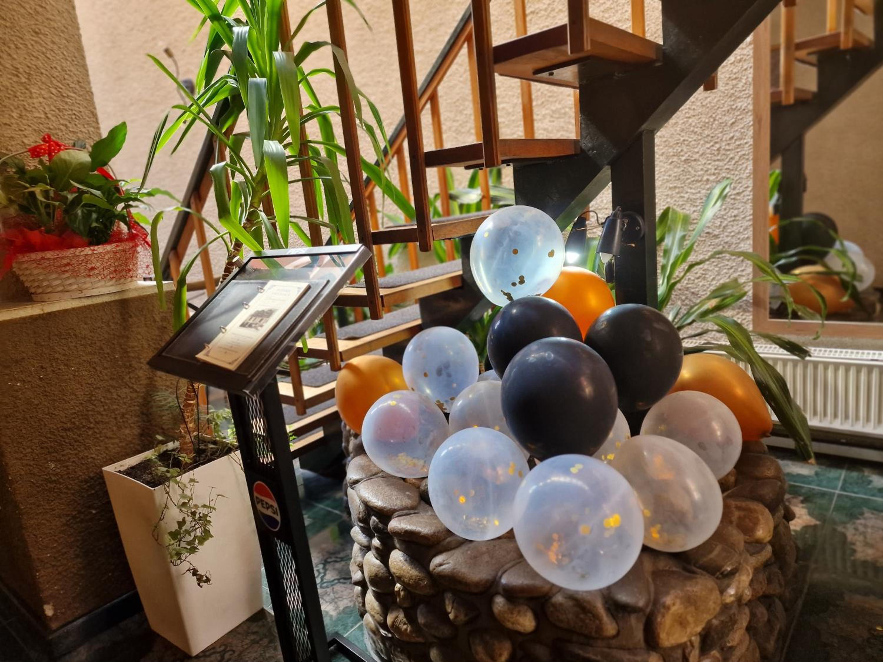 Pensiunea Casa Dimitrios-Baile Herculane -Casă Boemă cu vedere la munte apă atmosferă intimă