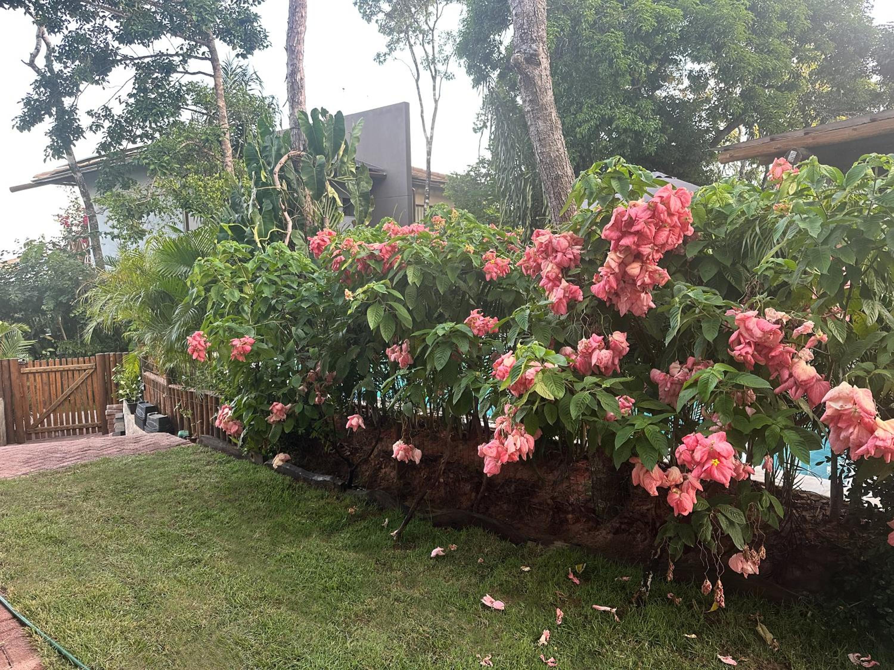 Linda casa, para 8 pessoas, 2 Suites, 1 quarto, piscina, fitness, Praia do Forte