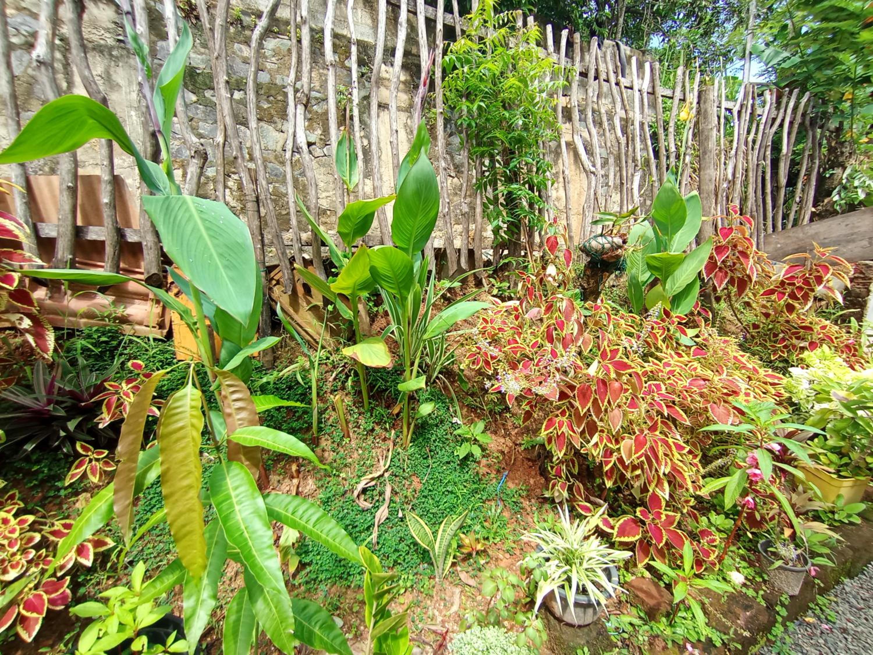 vihanga homestay