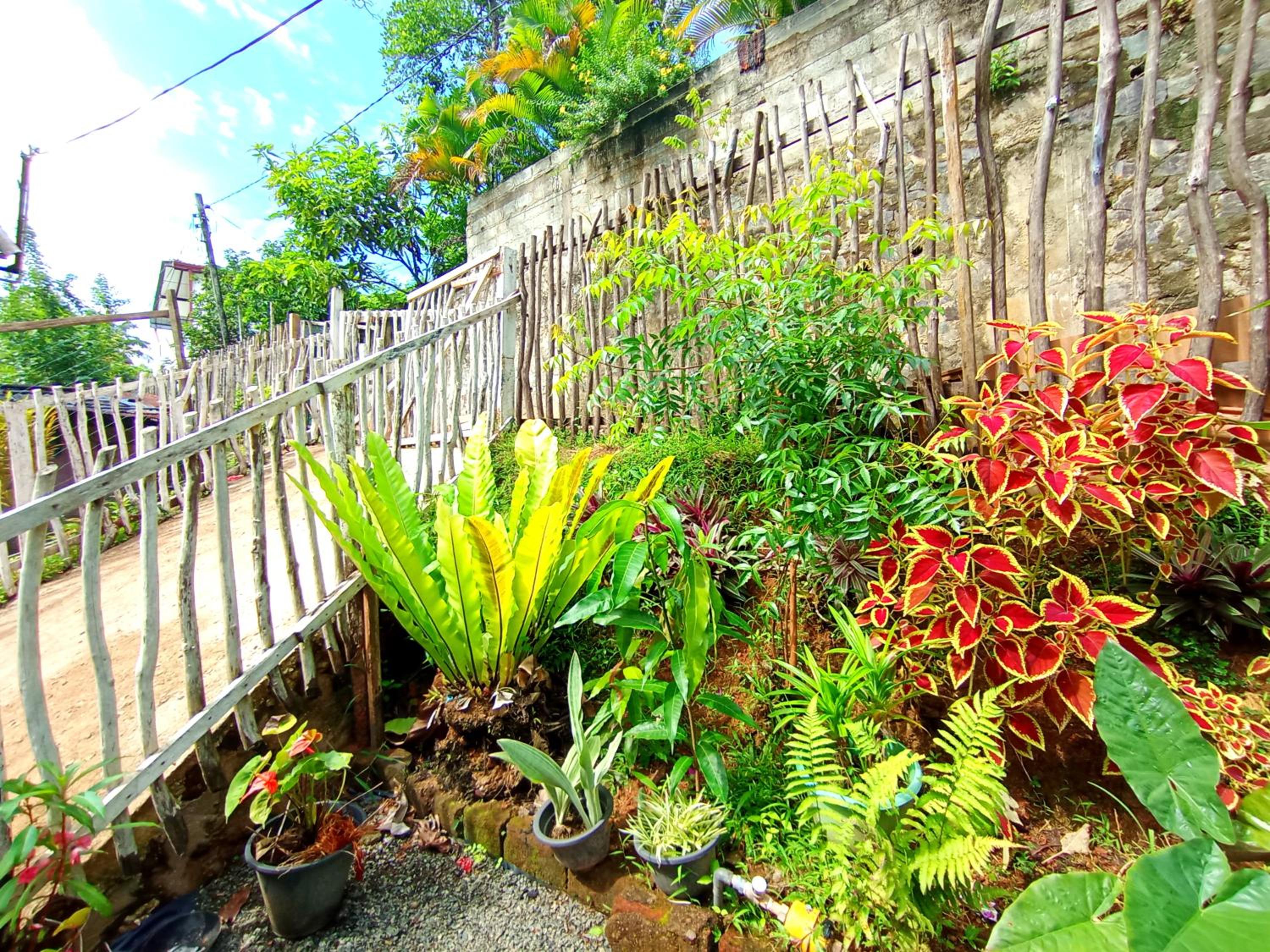 vihanga homestay