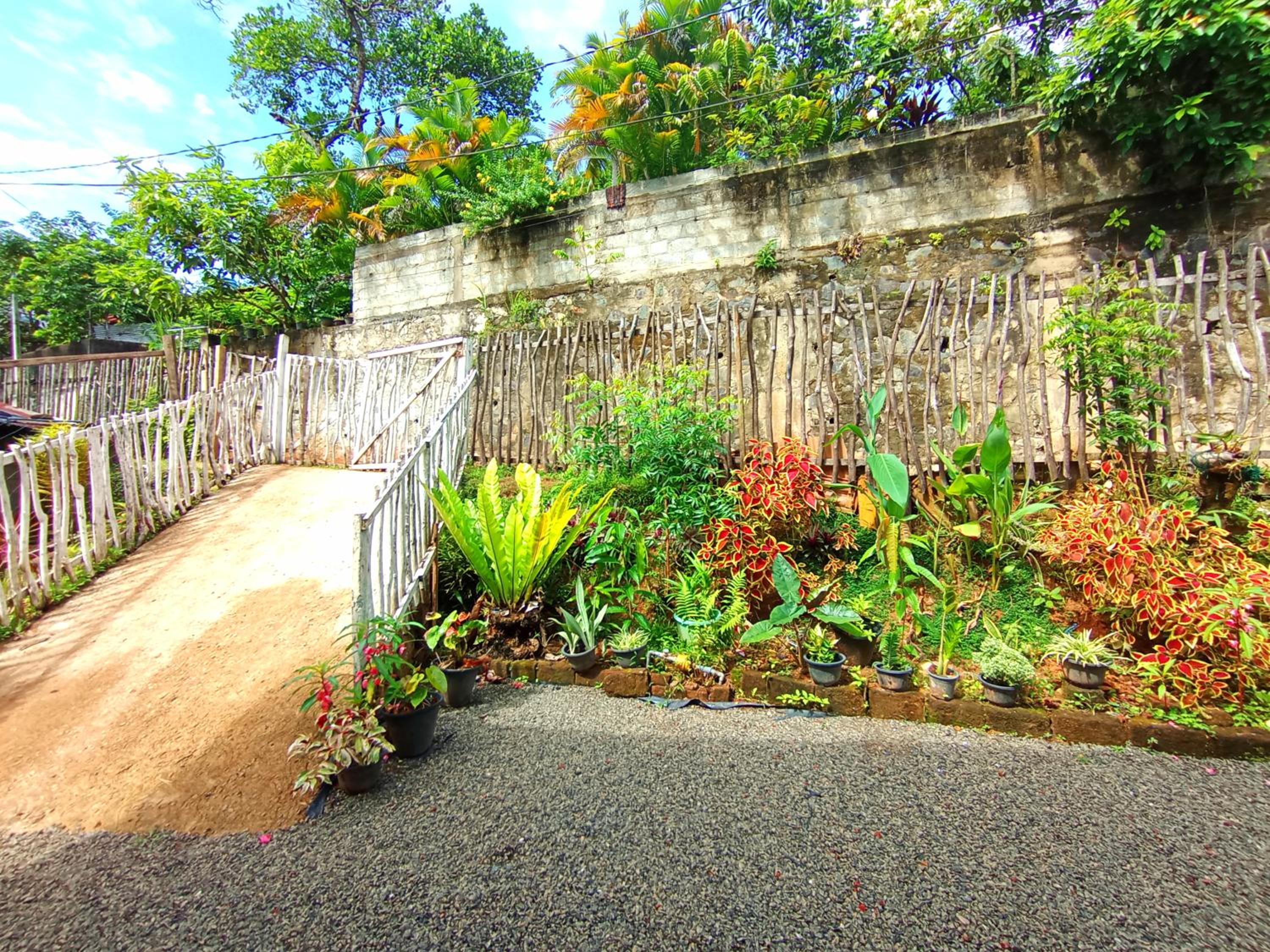 vihanga homestay