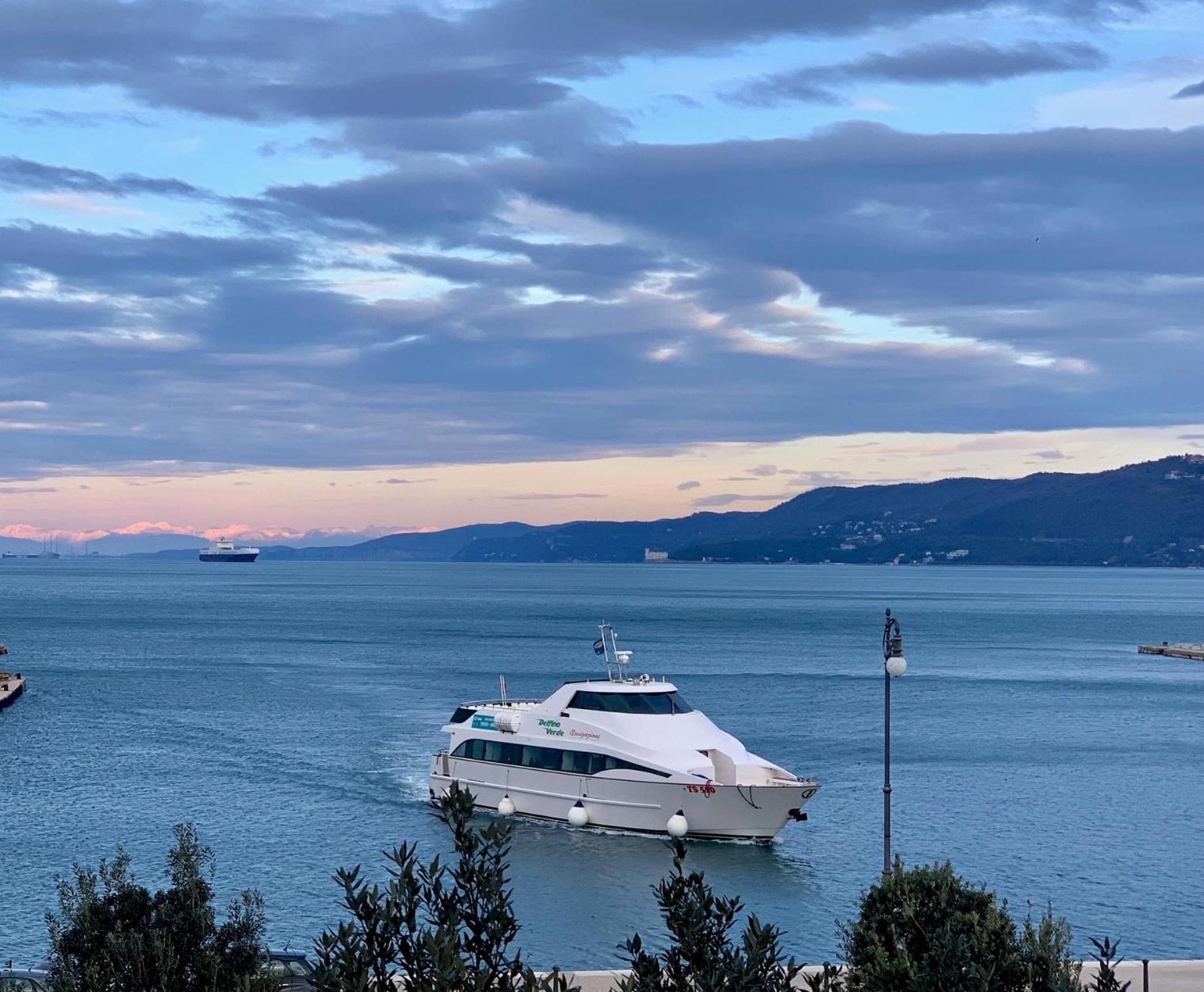 Five Flowers Guest House photo 4