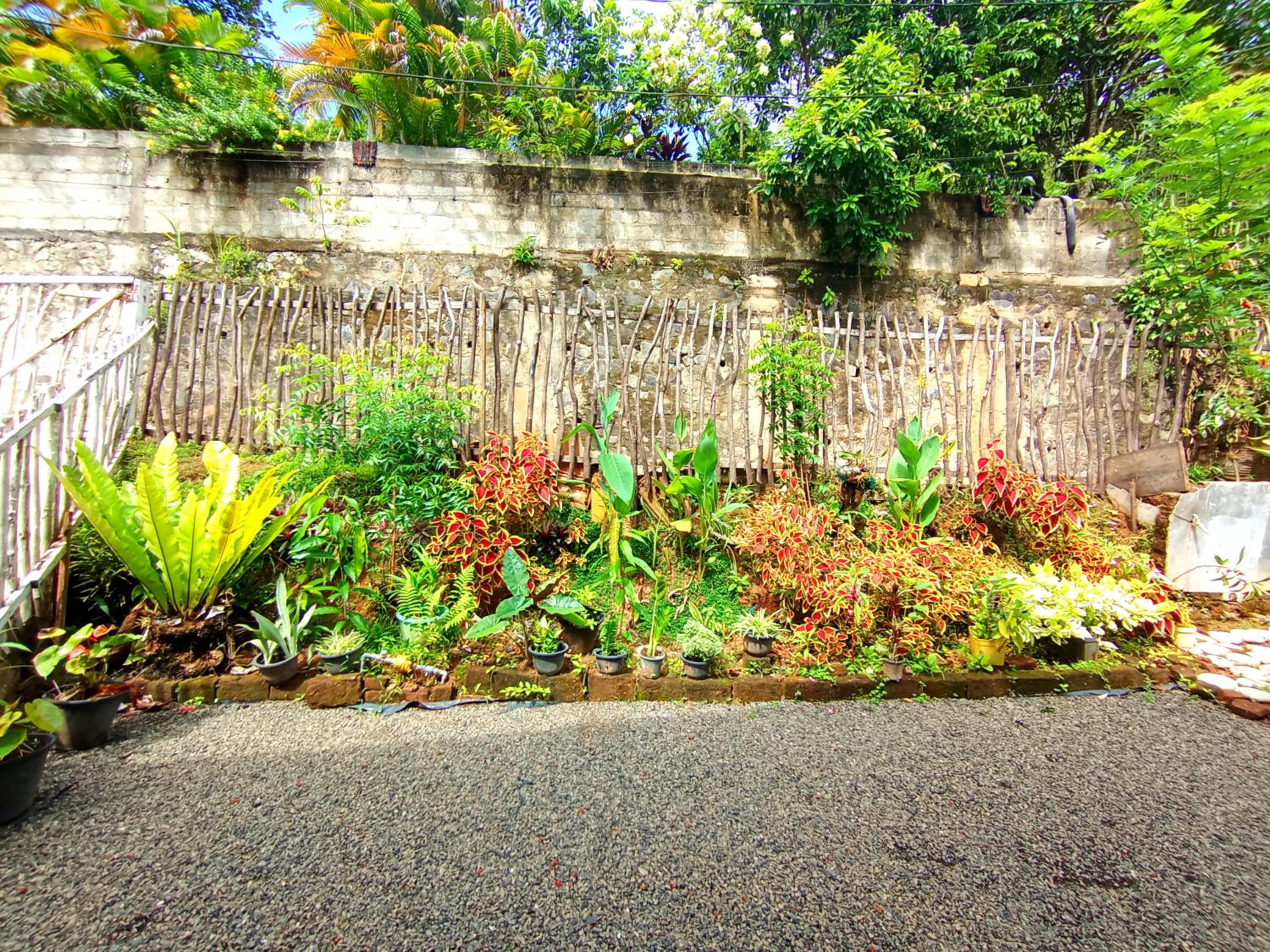 vihanga homestay